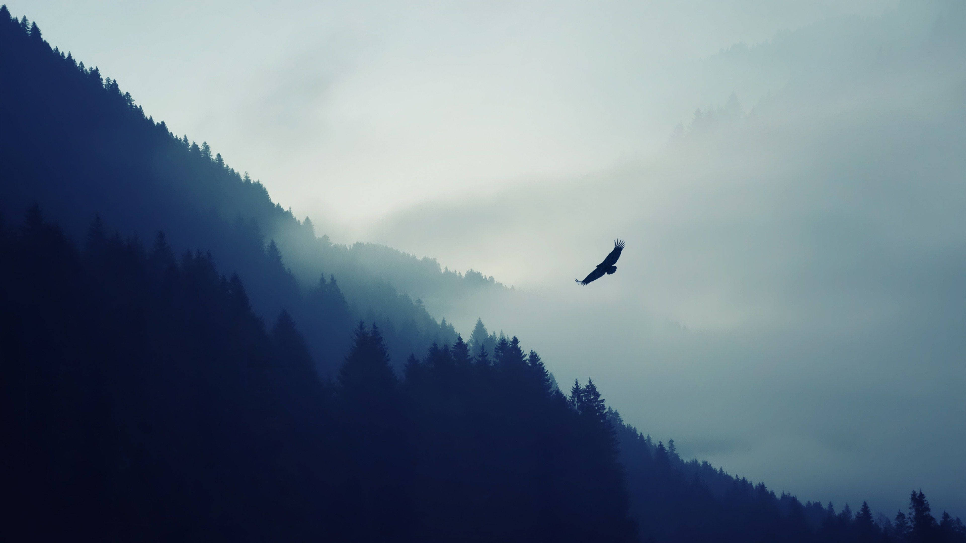 Lumilipad nang may pagmamalaki - Maringal na agila sa itaas ng maringal na Alps Wallpaper