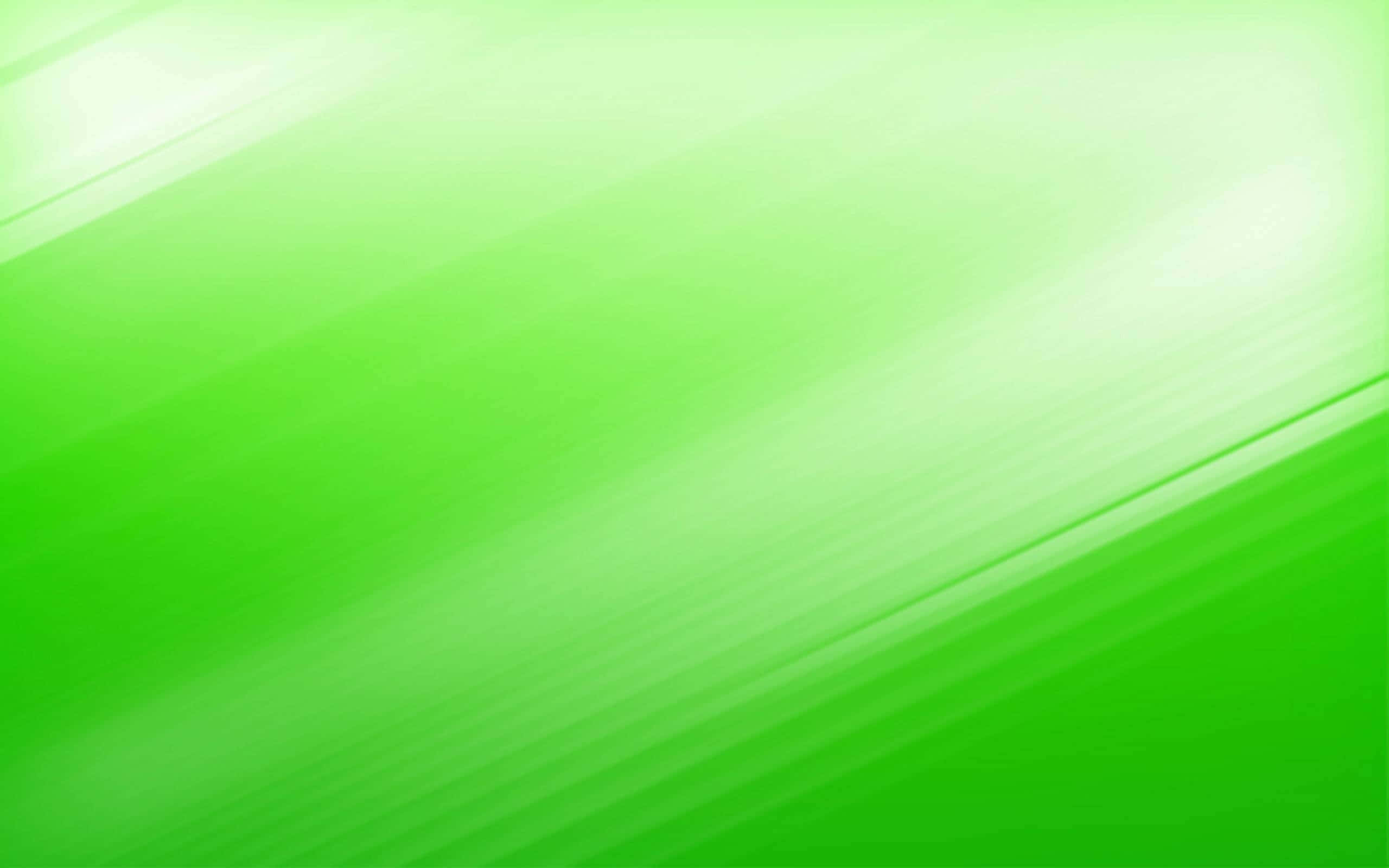 Luntian at Puting Abstrak na Guhit na Background Wallpaper