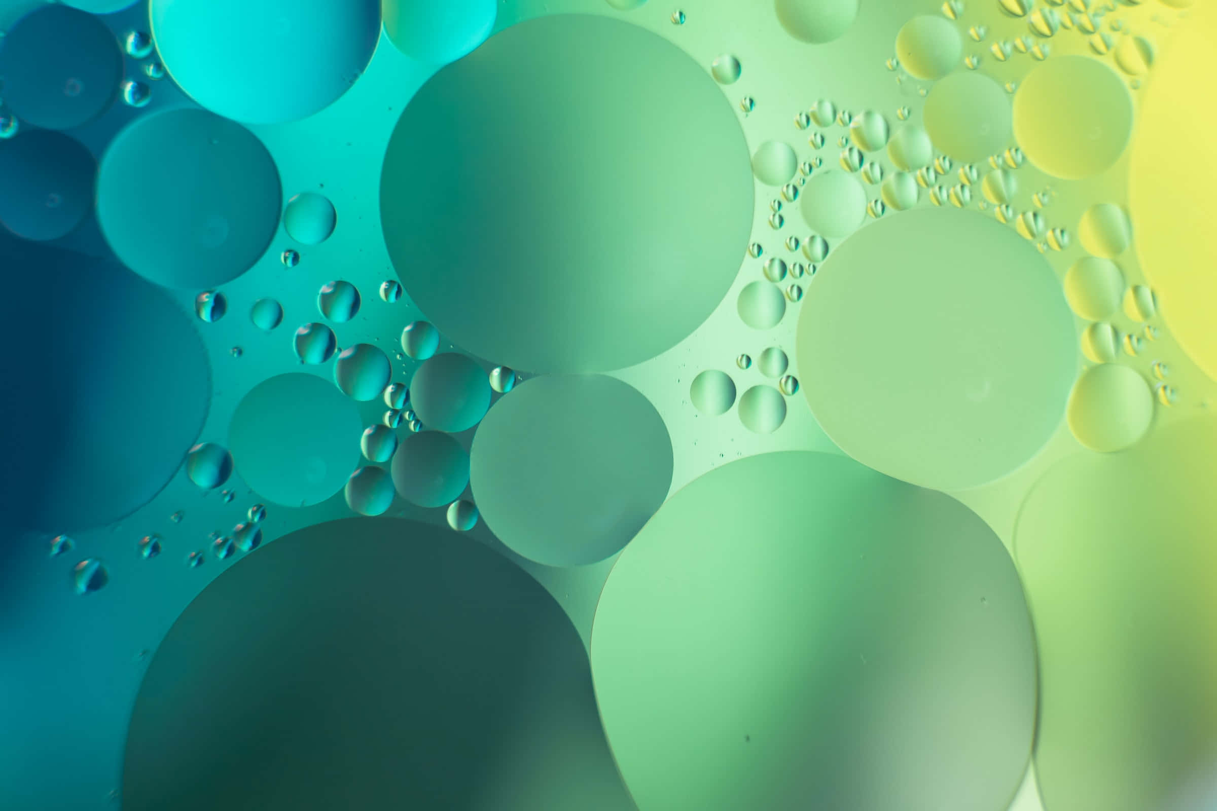 Luntiang Berdeng Background Abstract Gradient Circles Wallpaper