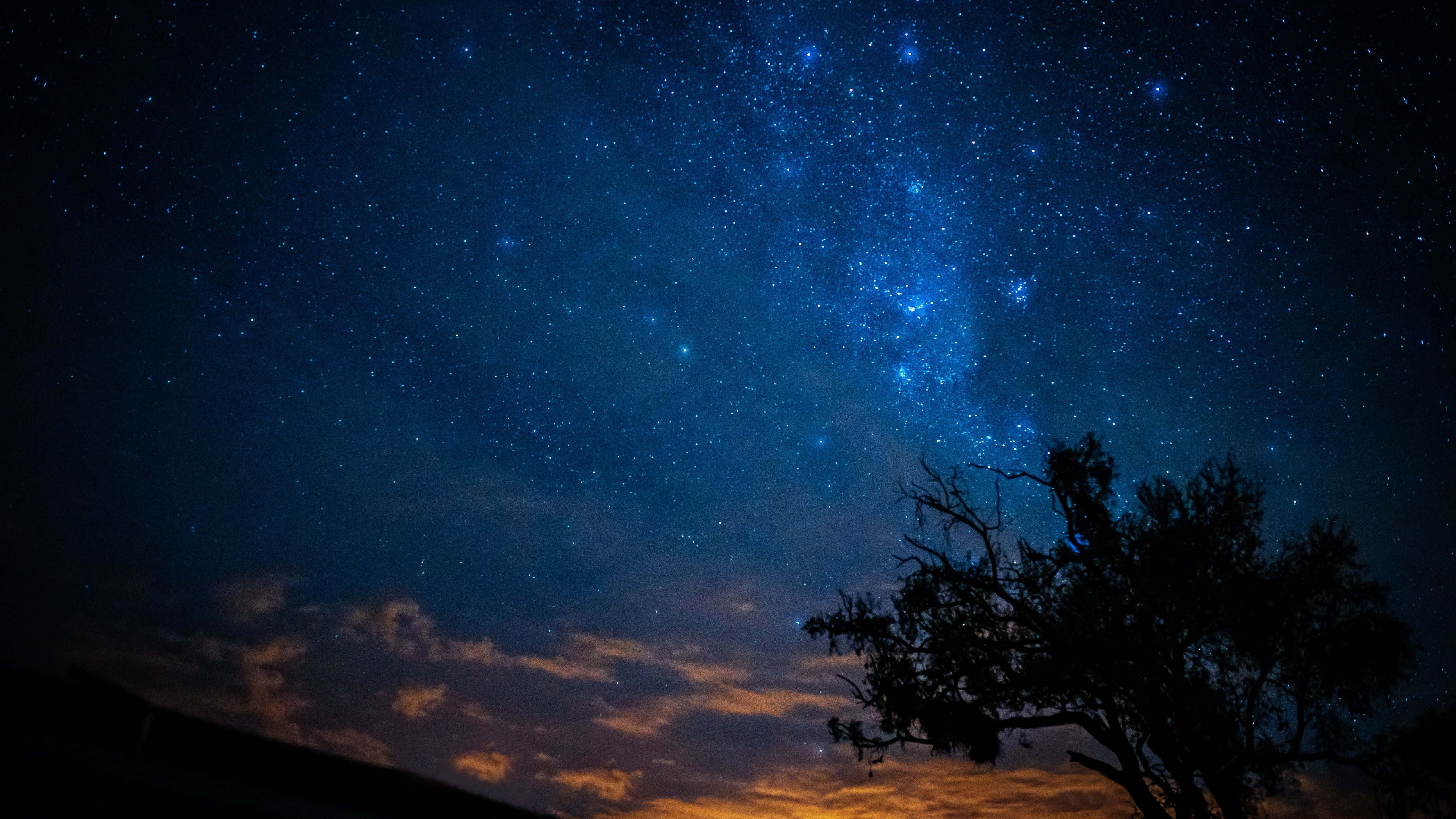 "Luntiang Berdeng na Kagubatan na Tanawin" Wallpaper