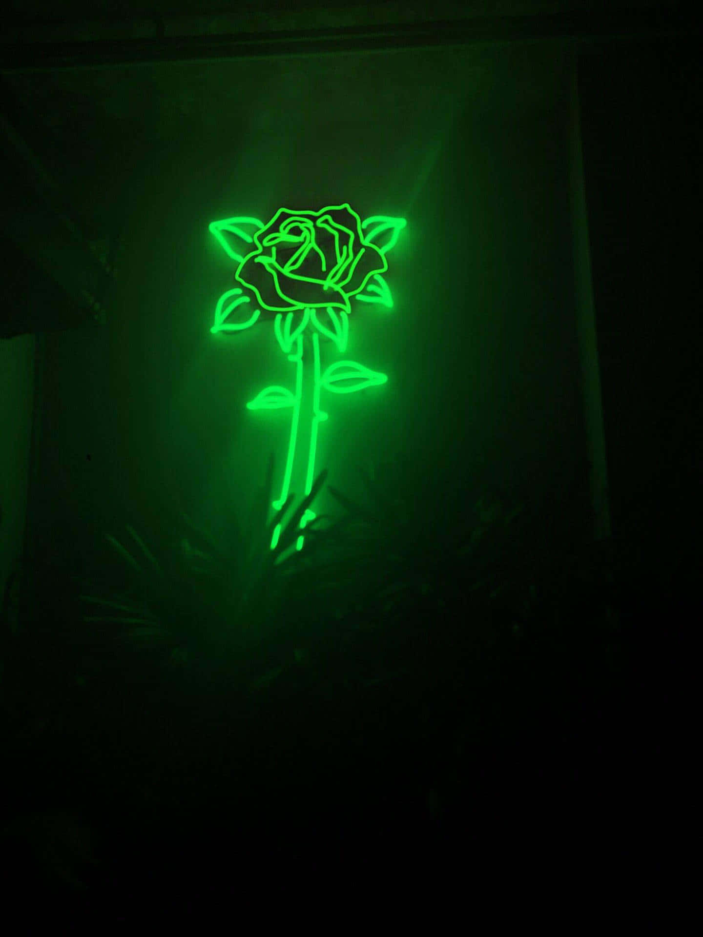 Luntiang halaman ang bumabaha sa labas, lumilikha ng isang nakakapanatag at mapayapang estetika Wallpaper