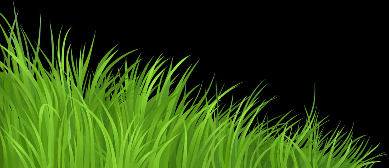 Luntiang Luntiang Background ng Damong Damo Wallpaper