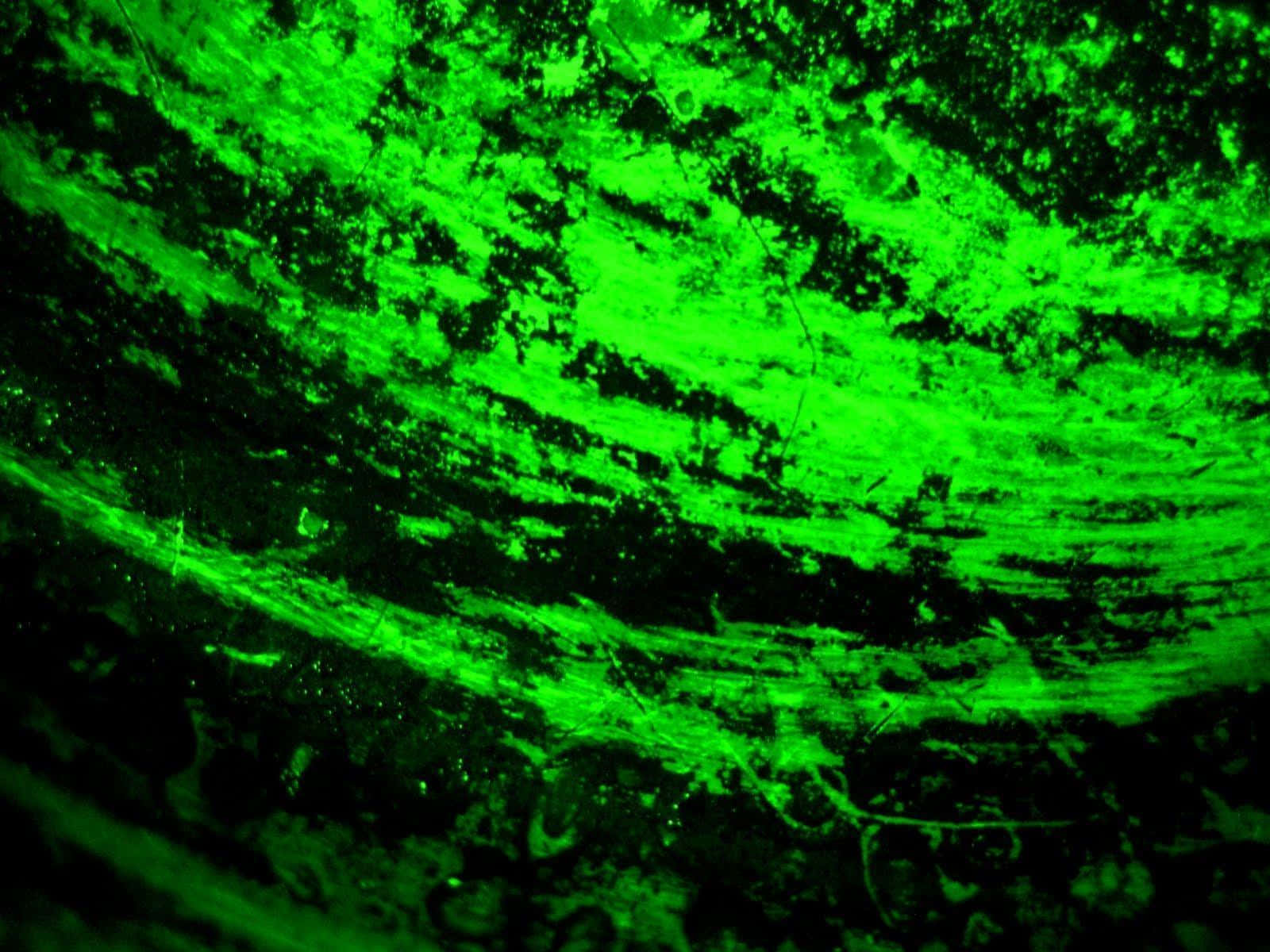 Luntiang Neon na Background Wallpaper