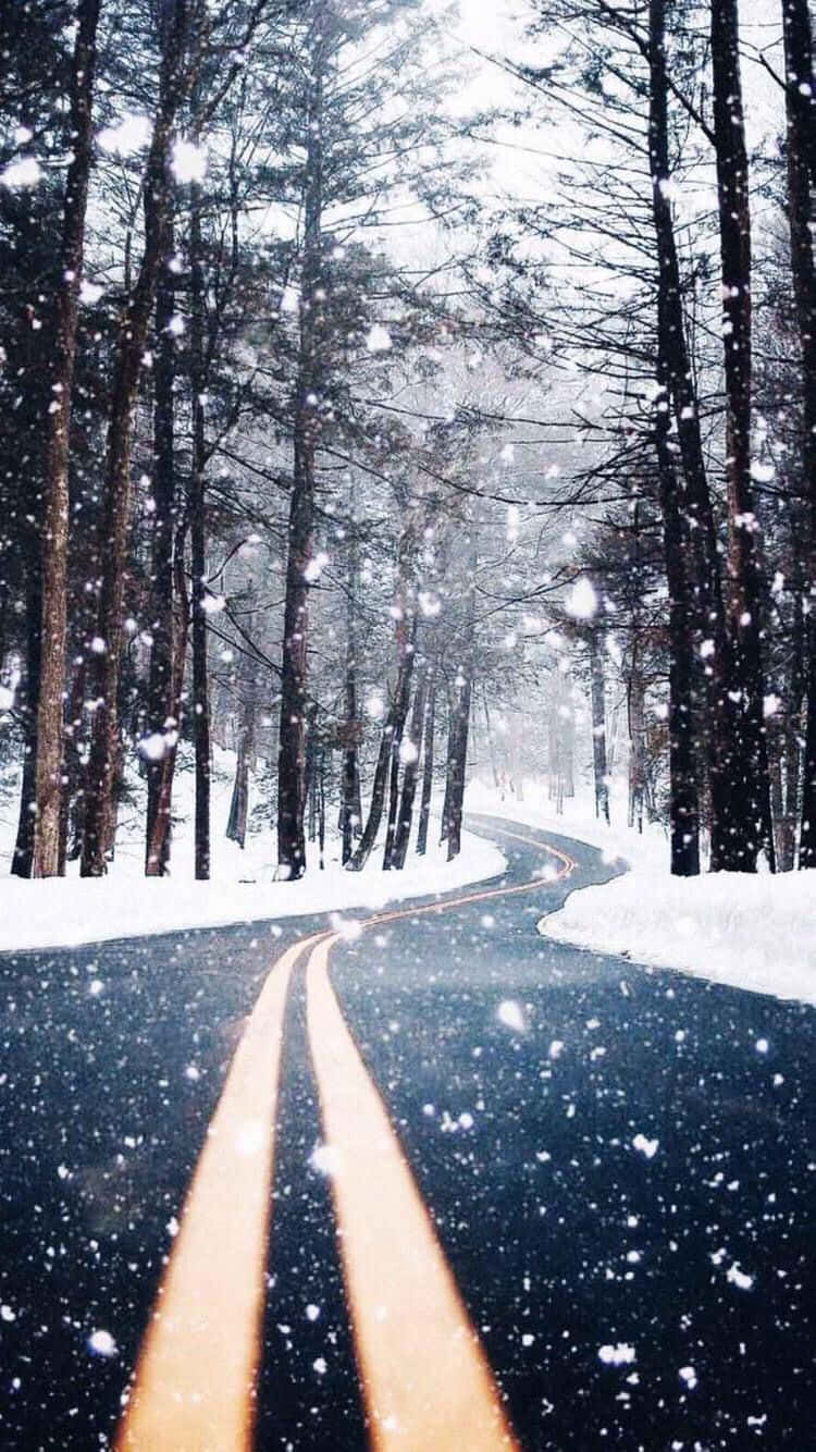 Maaliwalas na Daan sa Taglamig Tumblr Wallpaper