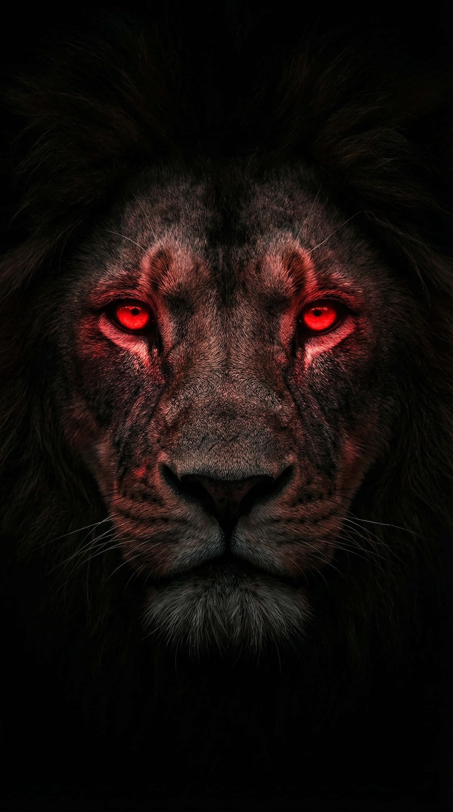 Mabangis na Pulang Mata na Haring Leon 4K Wallpaper