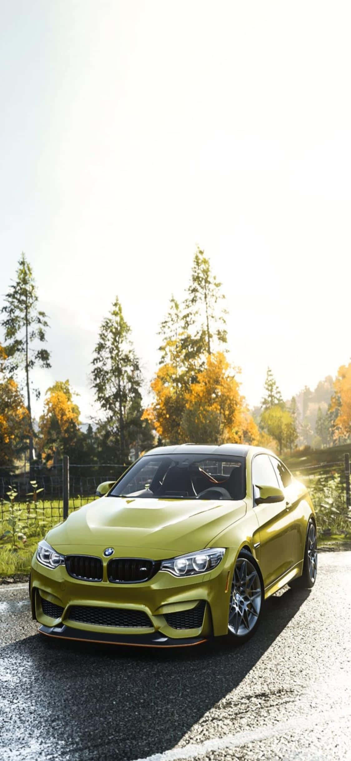 Mabilis at Mabangis, Sumakay sa Manibela ng iPhone Xs at Karera Patungo sa Tagumpay sa Forza Horizon 4 Wallpaper