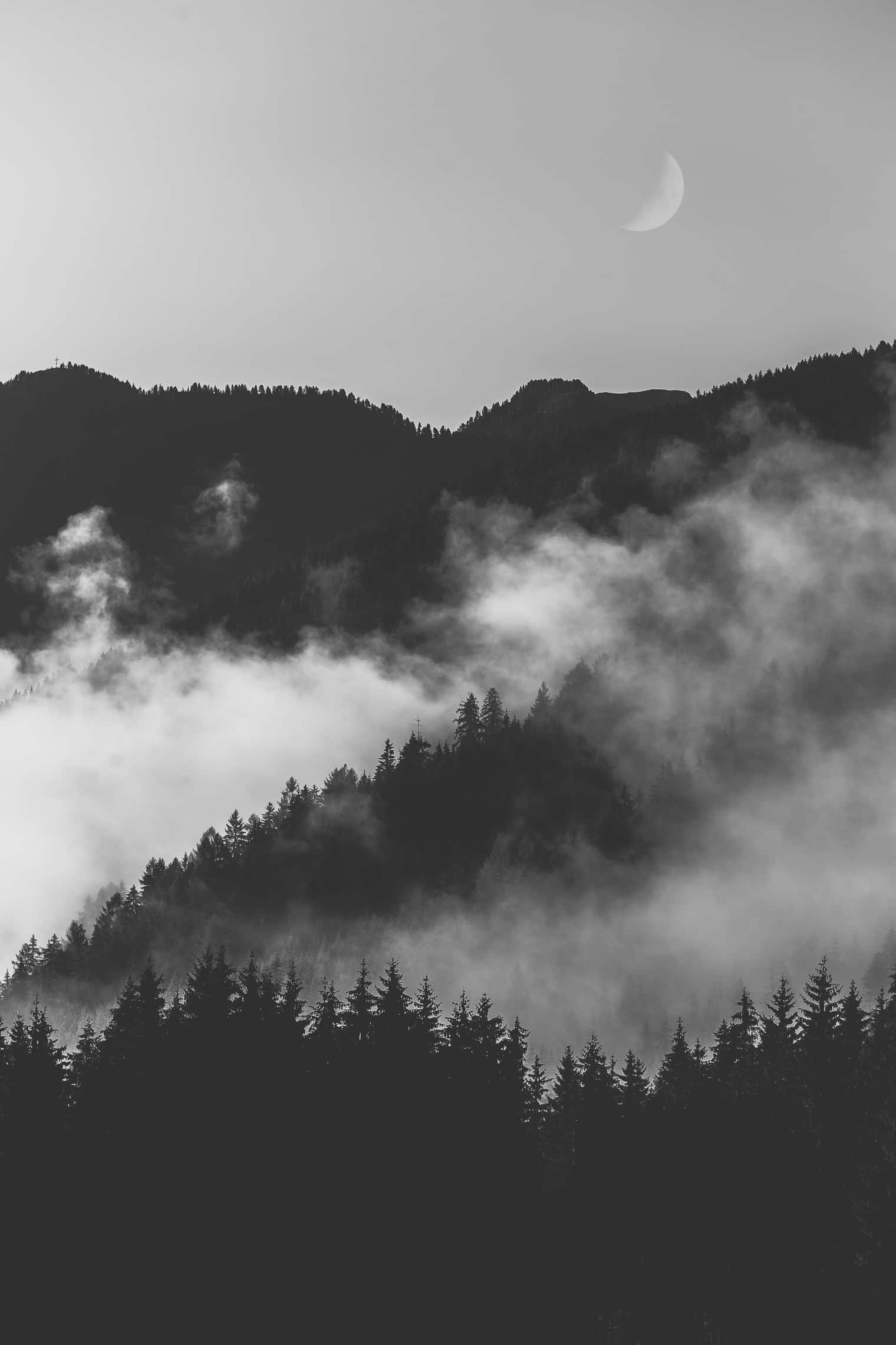 Madilim at Maambon na Kagubatan na Monochrome Wallpaper