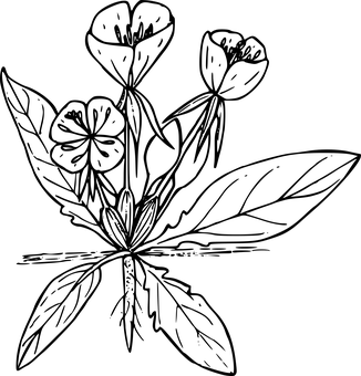 Madilim na Blangk Canvas Wallpaper
