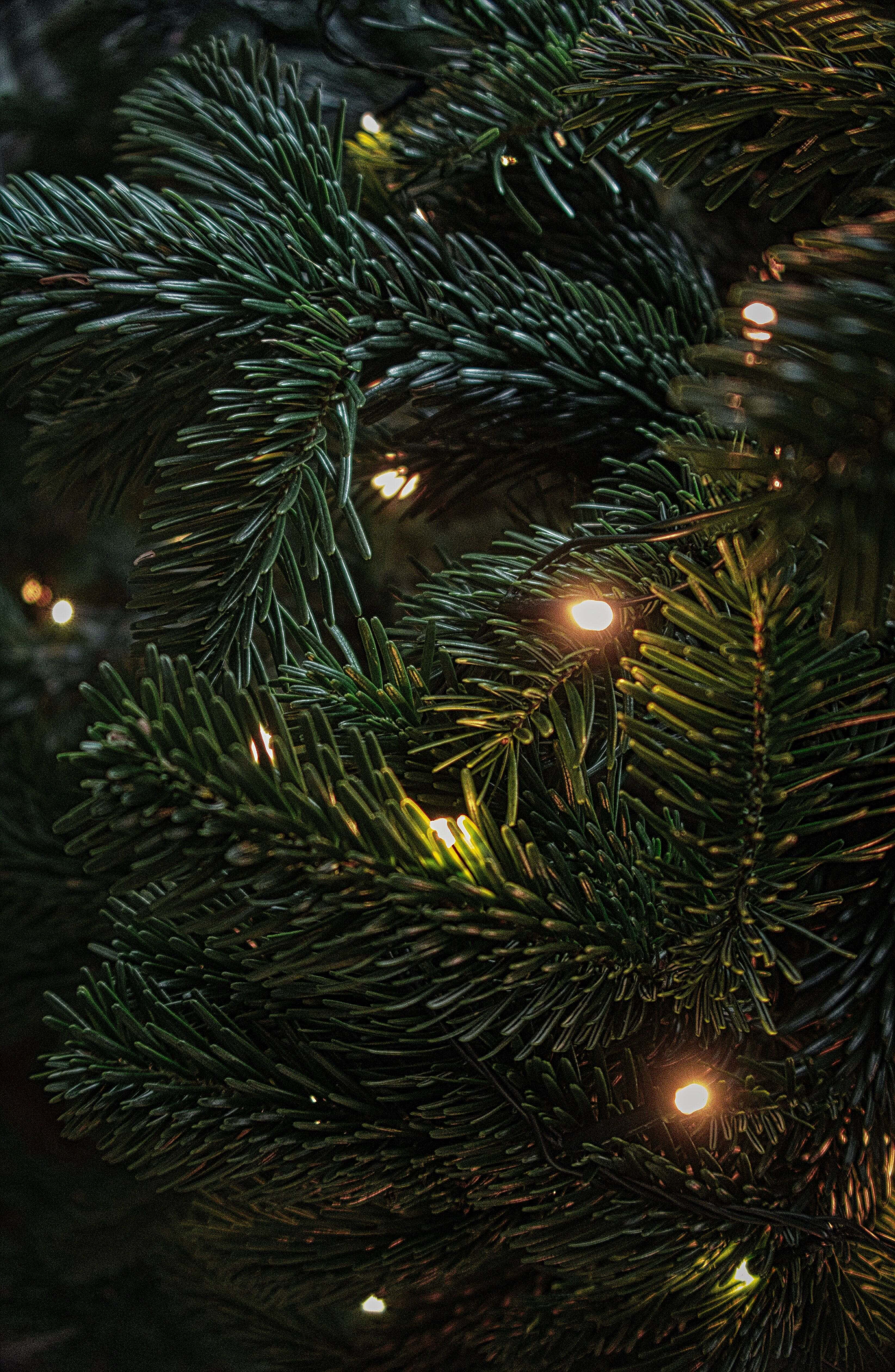Madilim na Eksena ng Pasko Wallpaper