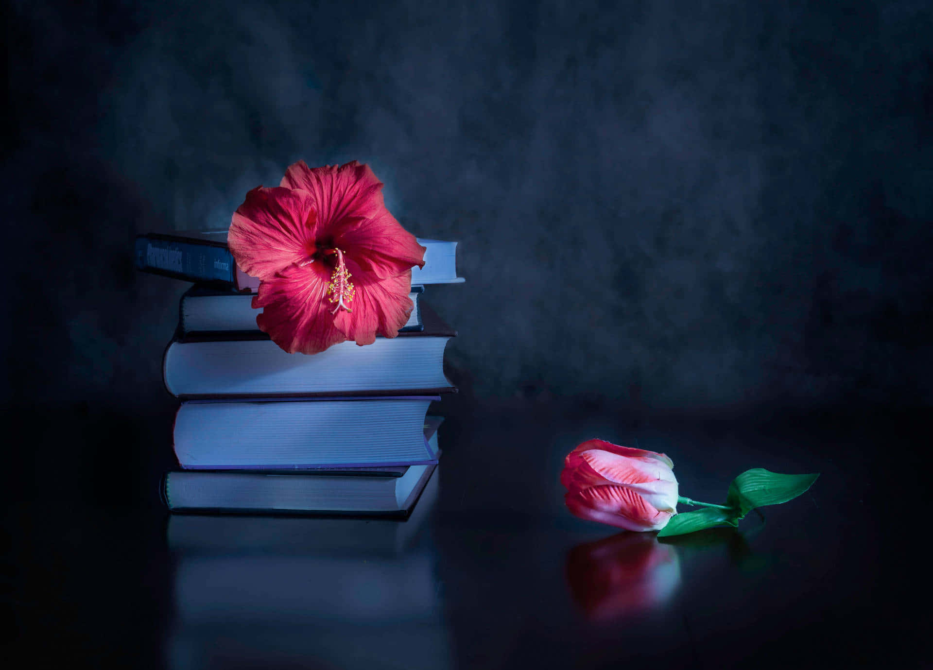 Madilim na Kagandahan ng Bulaklak Wallpaper