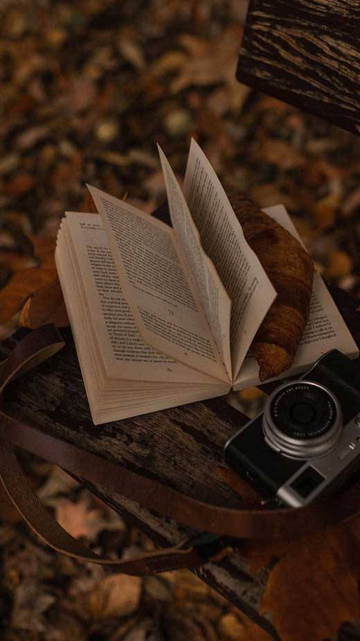 Madilim na Kayumangging Aesthetic na Libro at Kamera Wallpaper