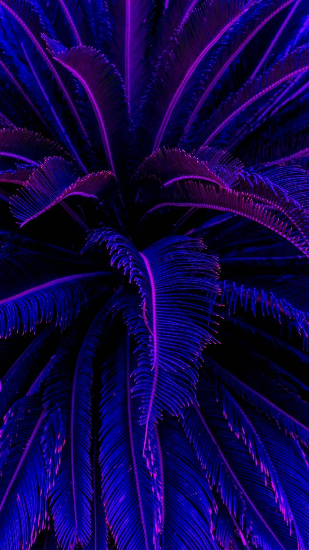 Madilim na Lila na Aesthetic na Puno ng Niyog Wallpaper