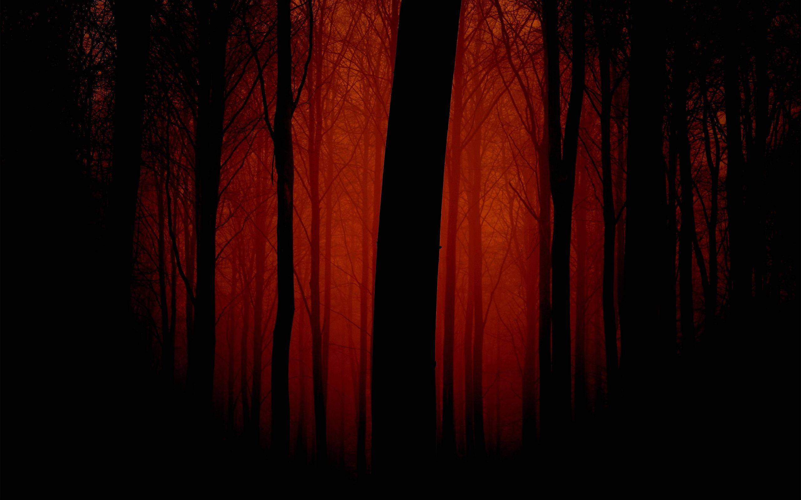 Madilim na Pulang Kagubatan Wallpaper
