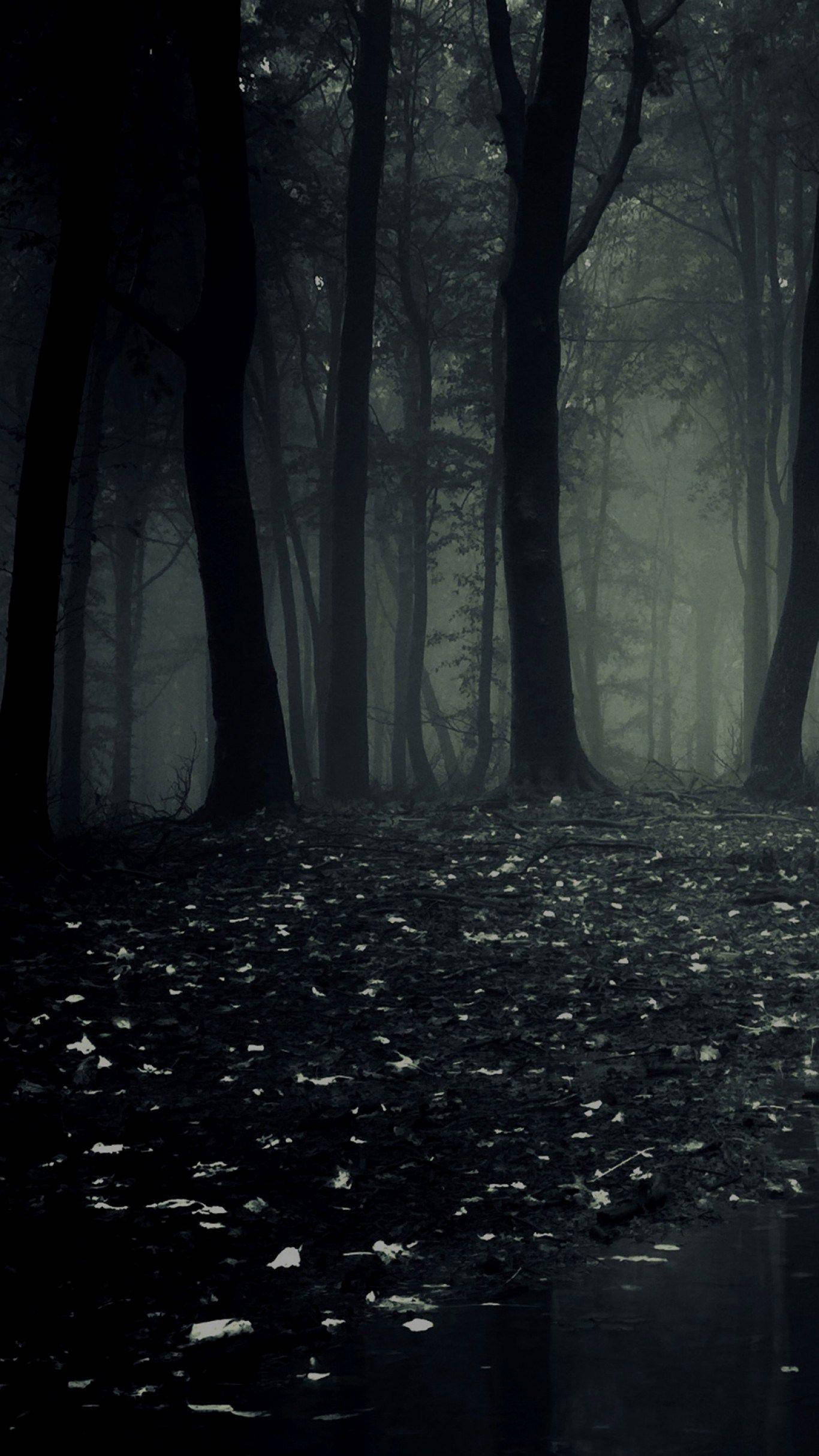 Madilim na Telepono sa Nakakatakot na Kagubatan Wallpaper