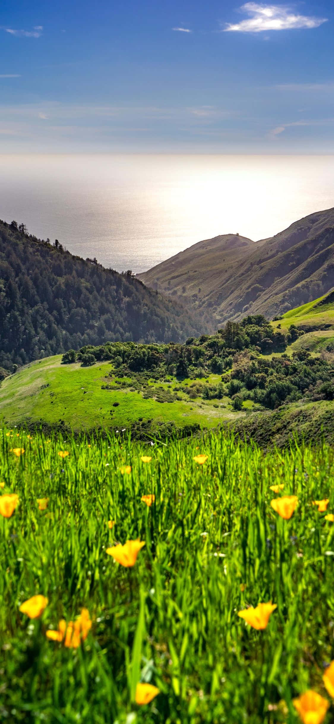 Mag-invest sa Iyong Kinabukasan gamit ang Apple iPhone Xs California Wallpaper