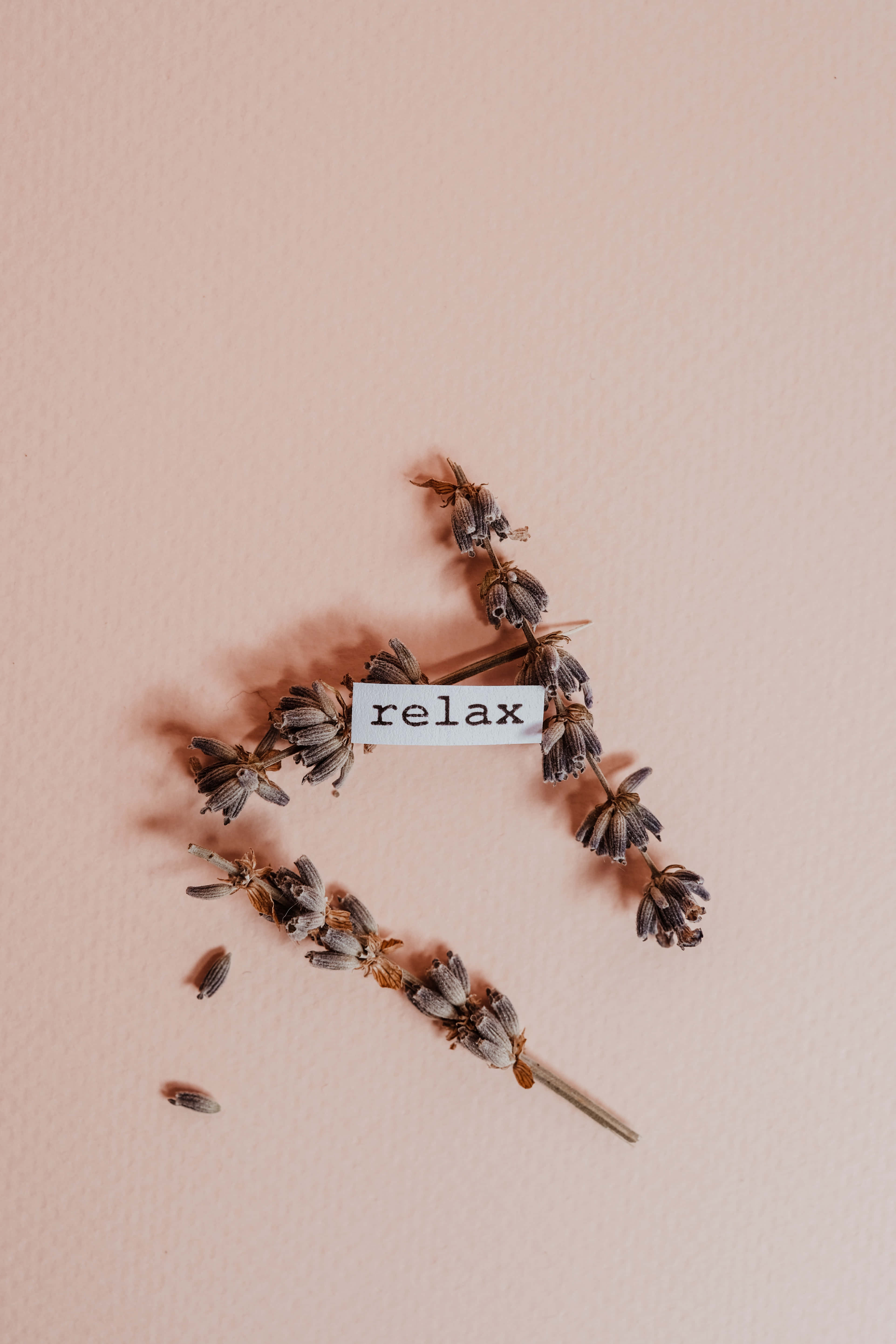 Maganda, Aesthetic na Beige Background Wallpaper