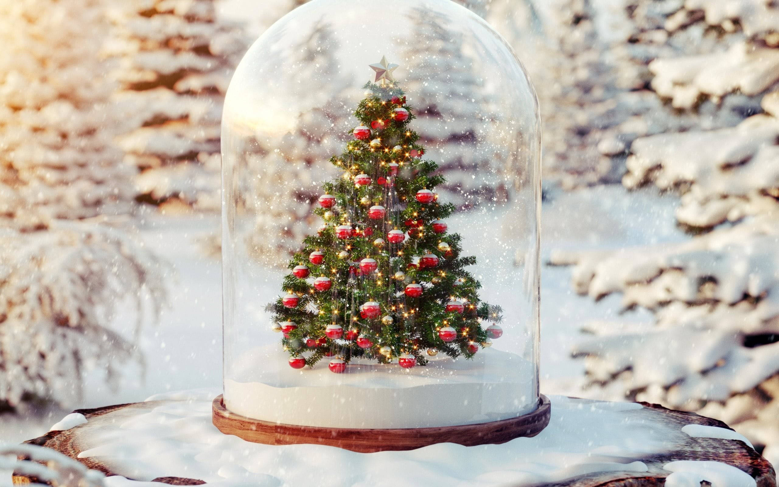 Magandang Christmas Snow Globe Wallpaper