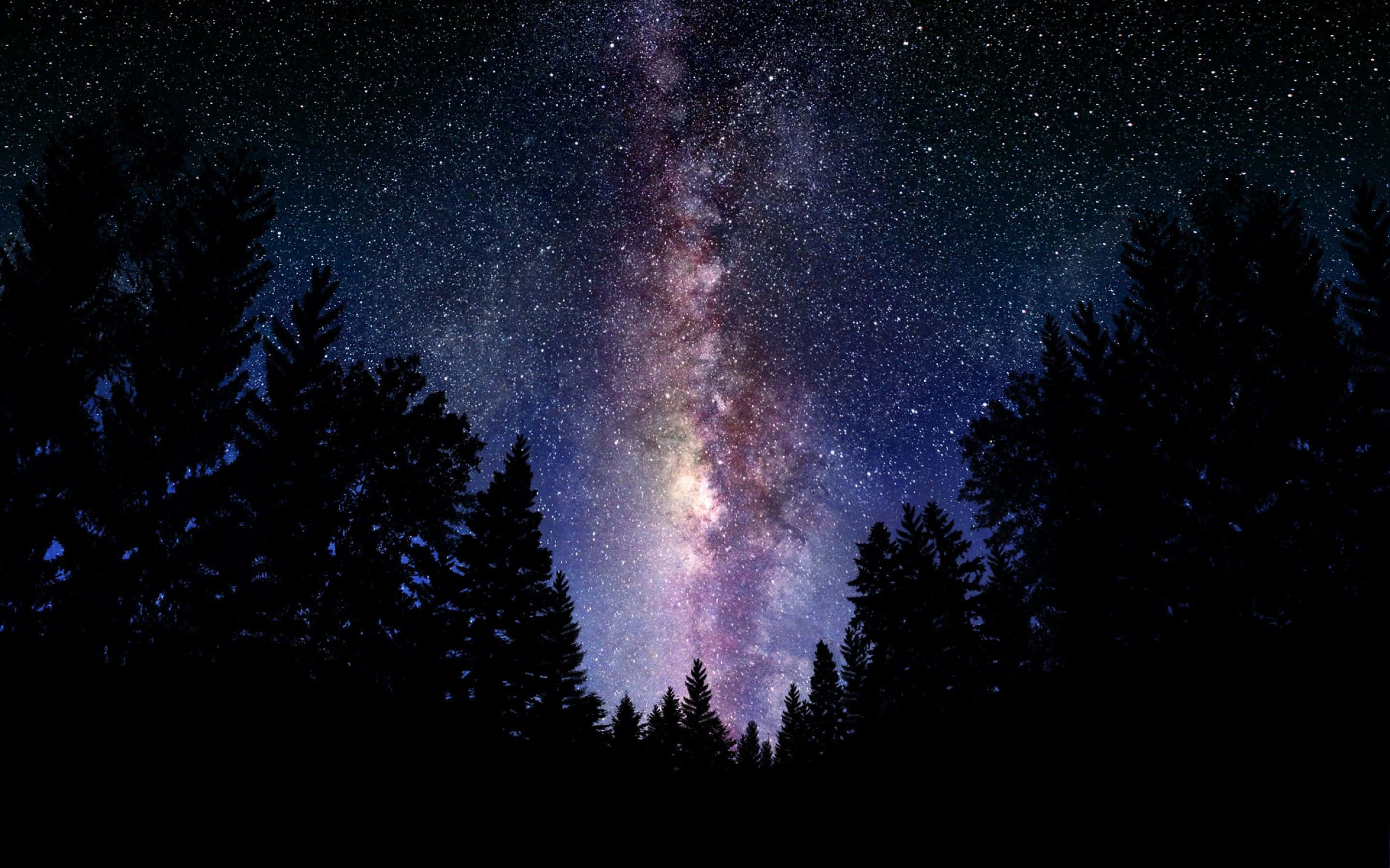 Magandang Galaxy sa Madilim na Kagubatan Wallpaper