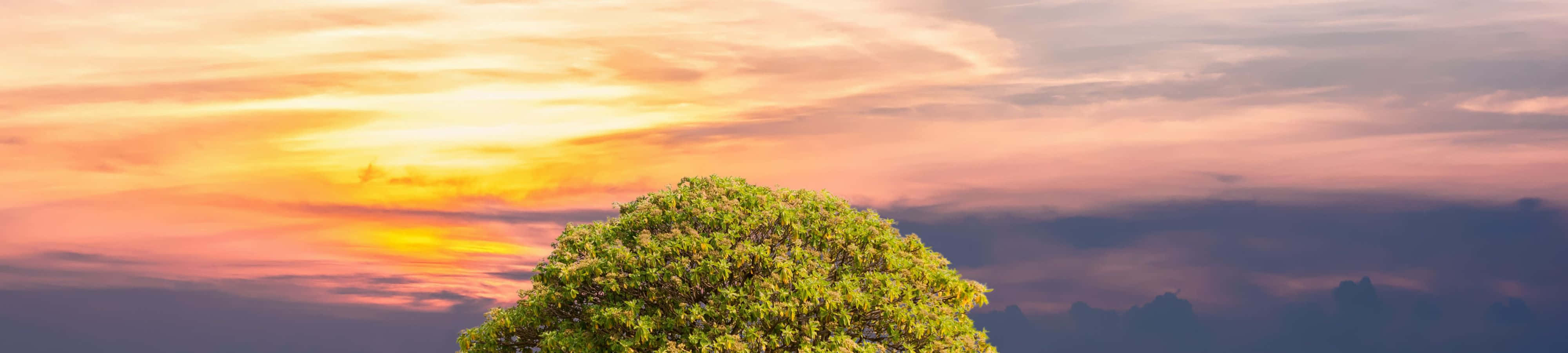 Magandang Kalikasan sa Paglubog ng Araw Wallpaper
