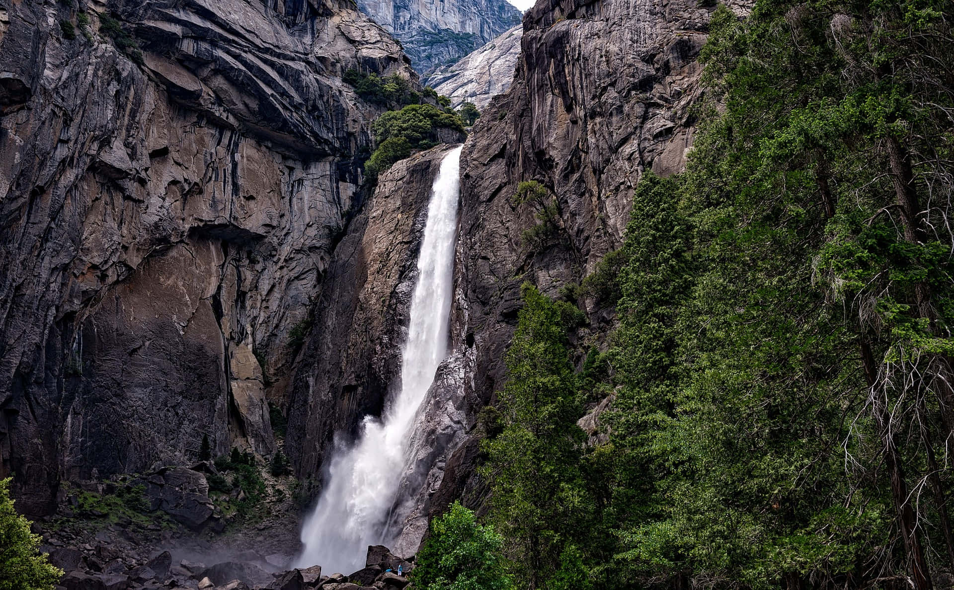 Magandang Larawan ng Yosemite Falls sa Kagubatan Wallpaper