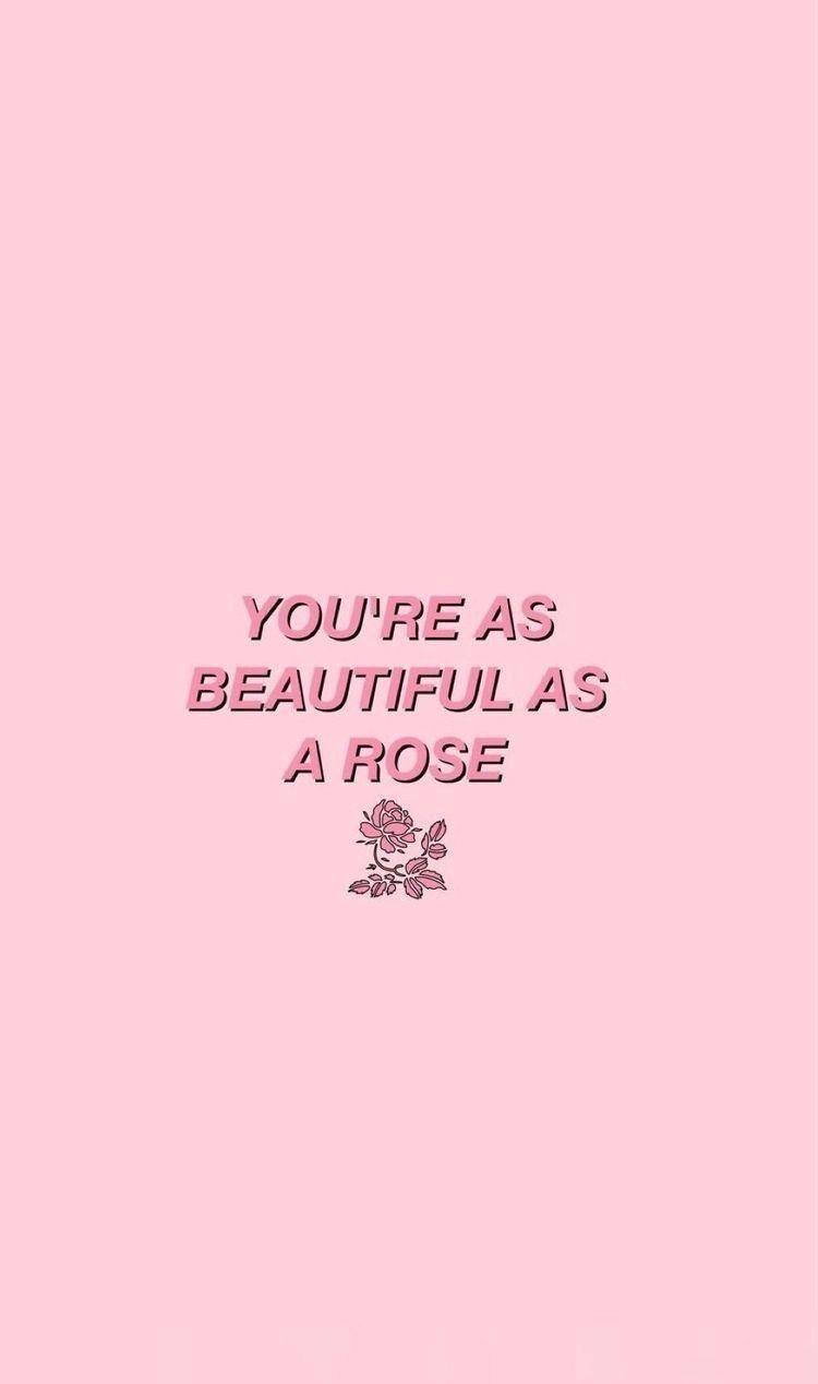 Magandang Rosas na Pink Aesthetic para sa iPhone Wallpaper