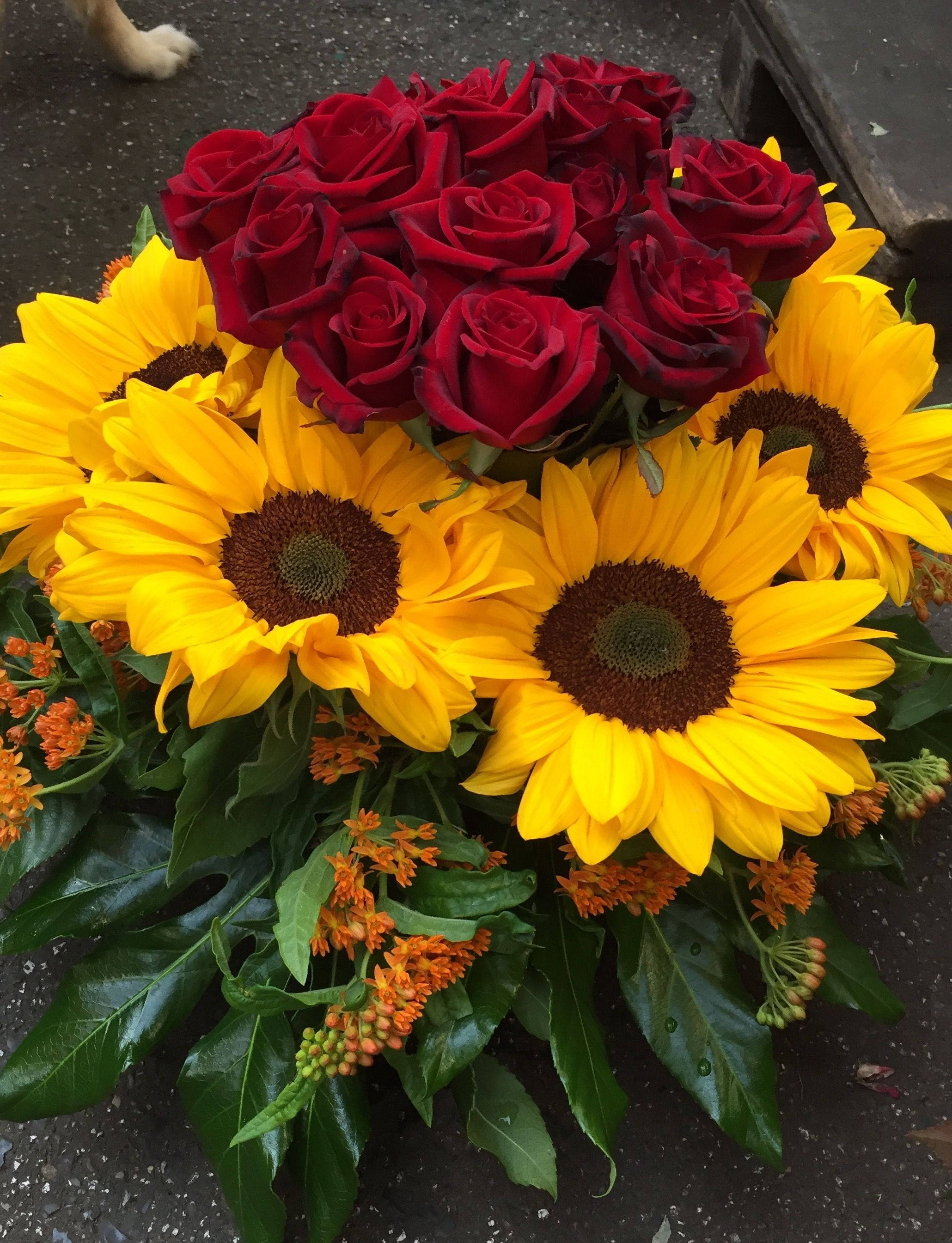 Magandang Sunflower at Rosas na Bulaklak Wallpaper