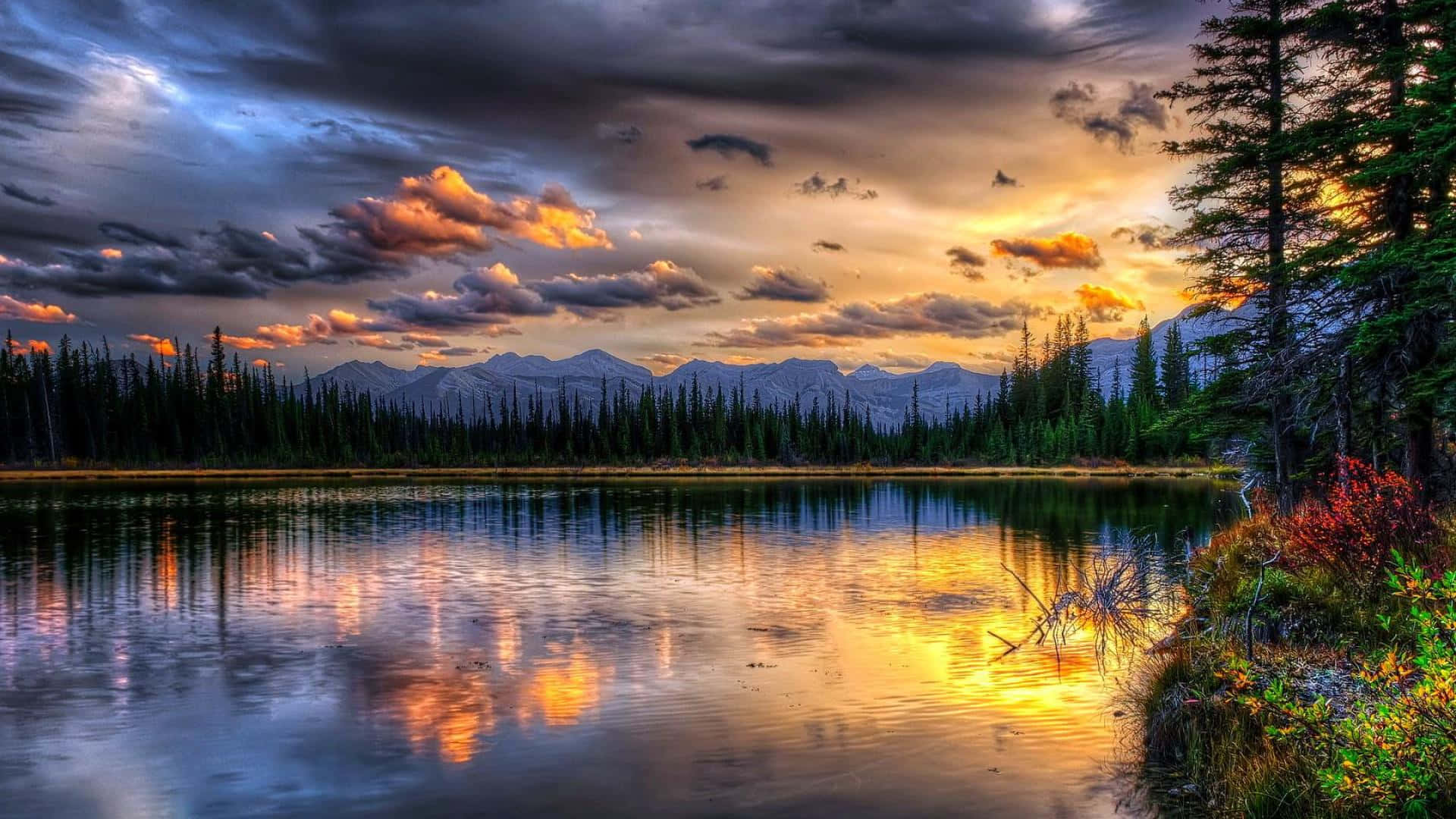 Magandang Tanawin Desktop Canada Forest Lake Wallpaper