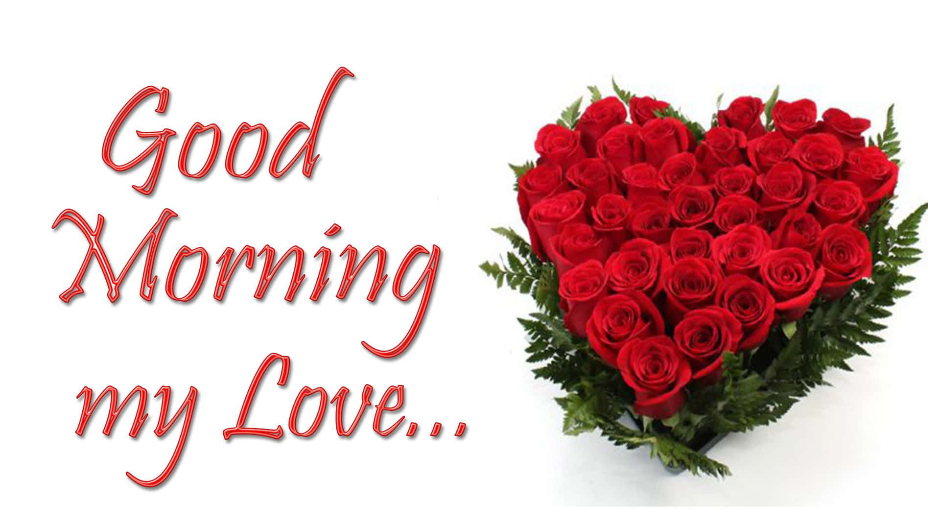 Magandang Umaga Aking Mahal Pusod na Rosas Wallpaper