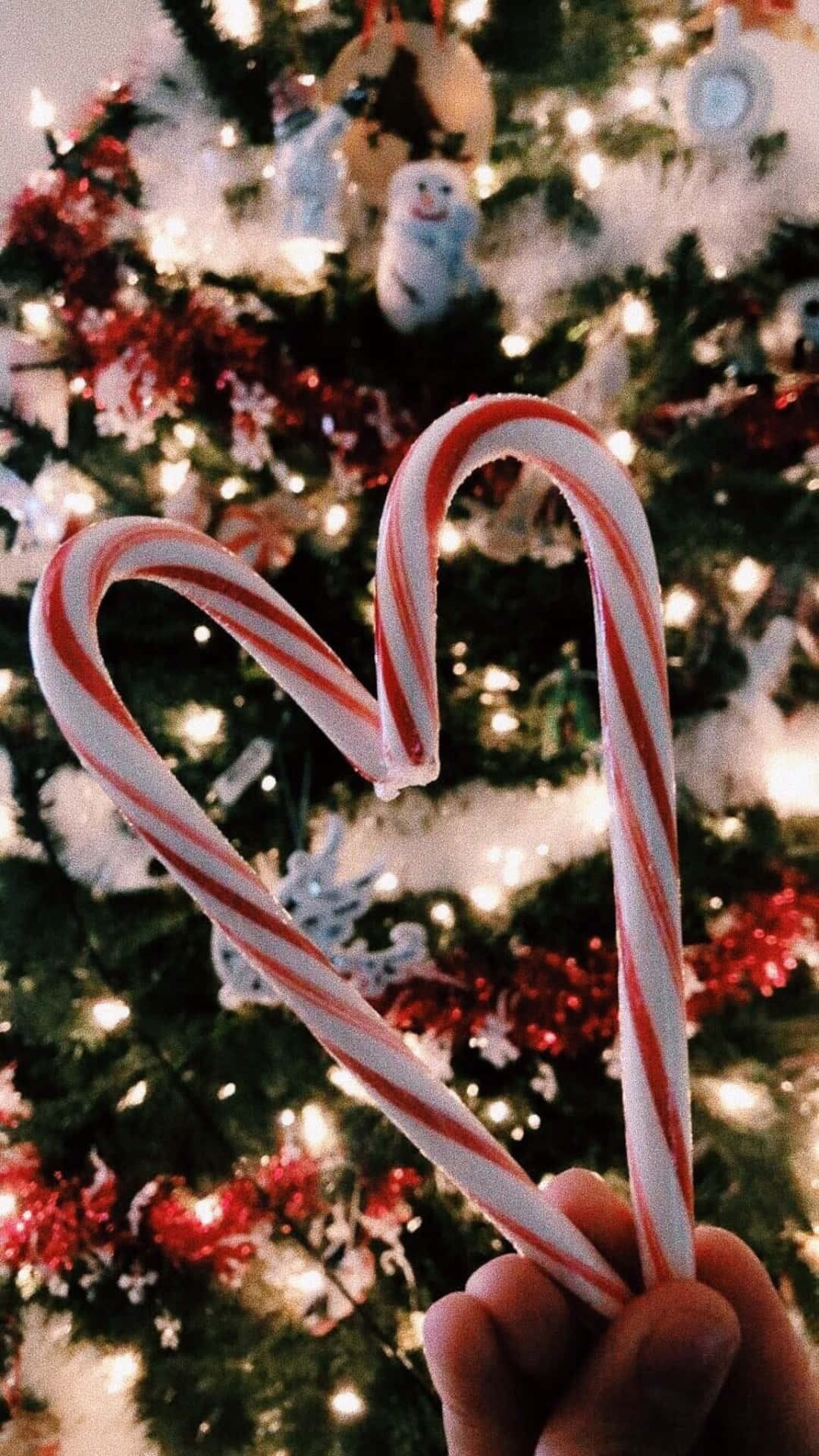Magbigay ng kasiyahan sa holiday gamit ang Christmas Aesthetic! Wallpaper