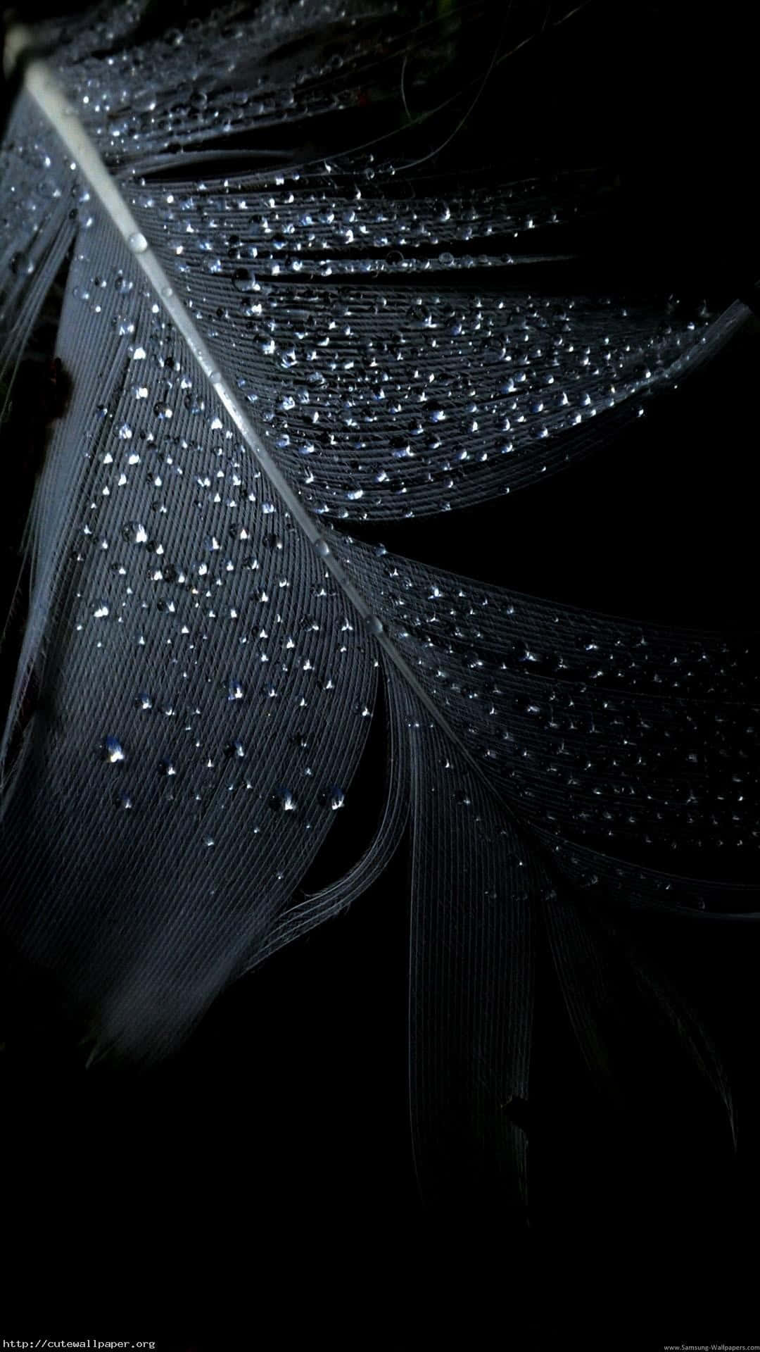 Maghanda para sa Pinakabagong iPhone 13 Wallpaper