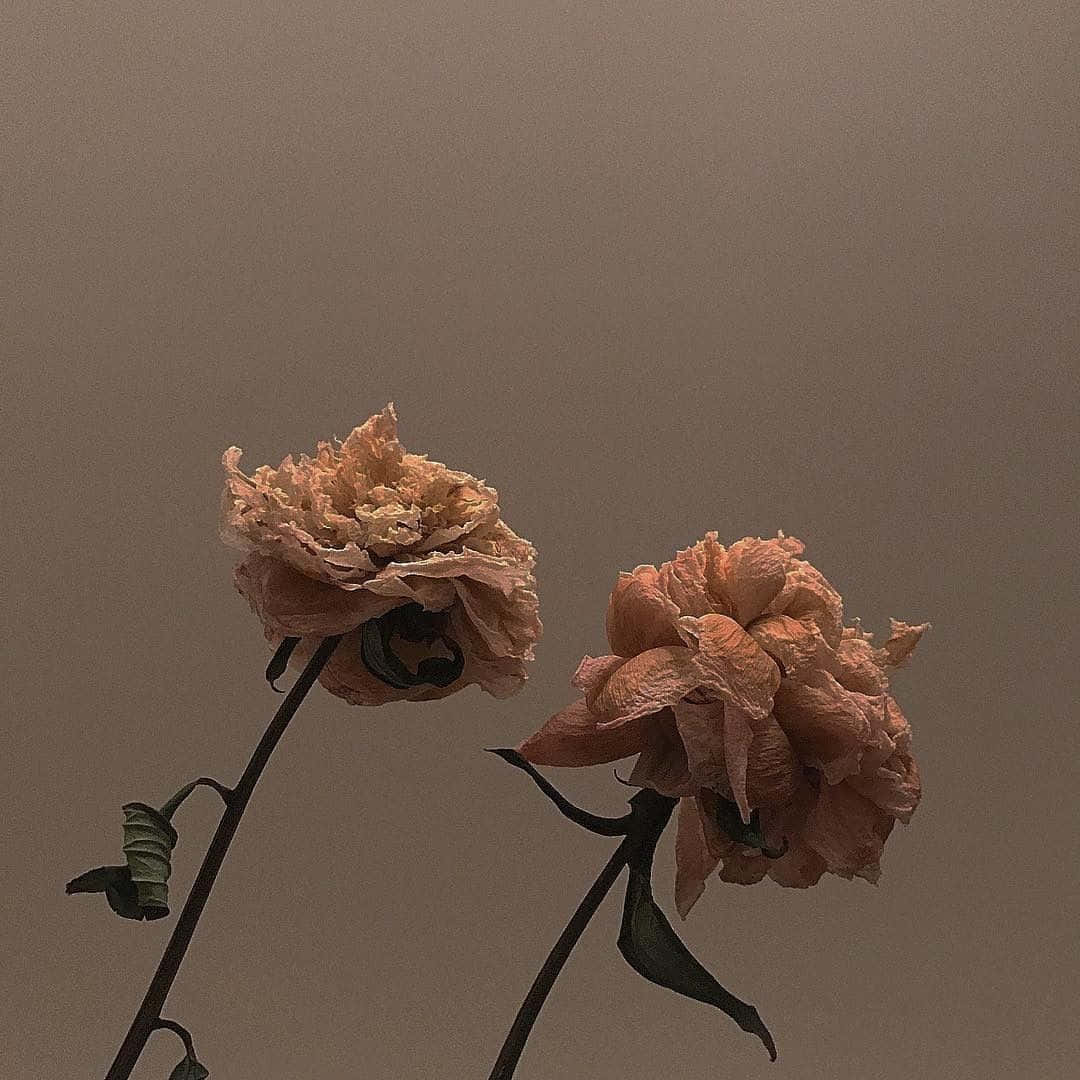 Maging Inspirado | Aesthetic Brown Wallpaper