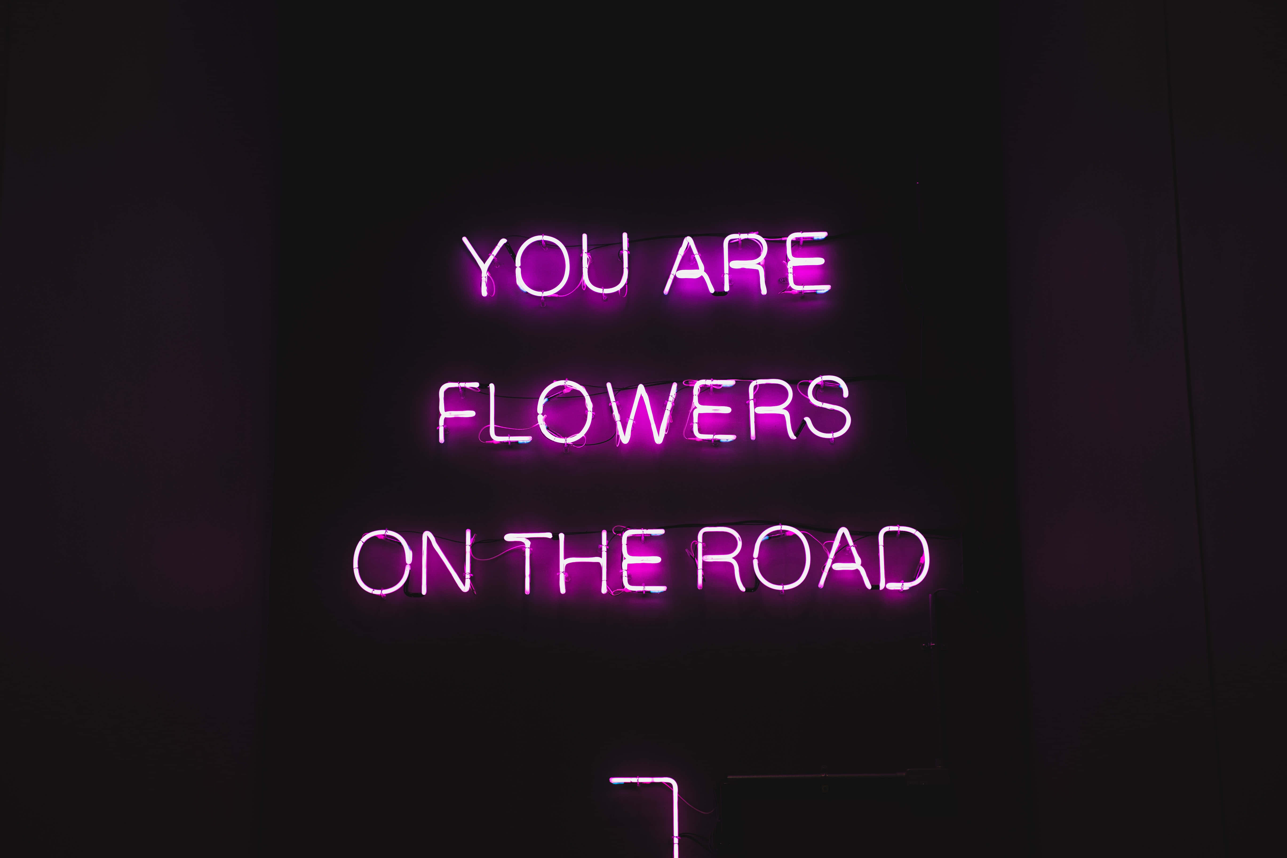 “Maging inspirasyon sa kalaliman ng dark purple aesthetic.” Wallpaper