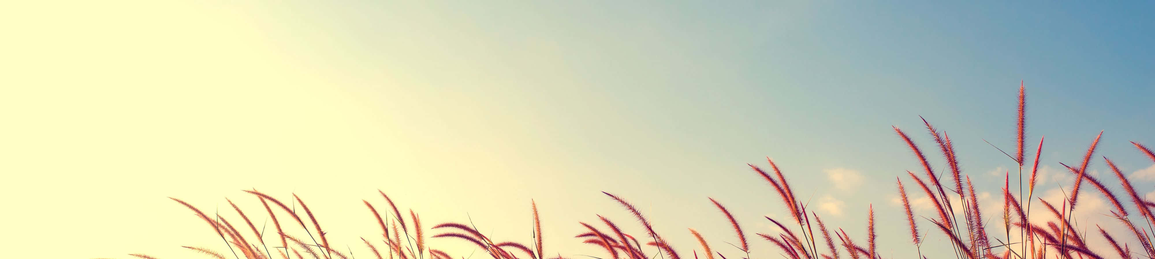 Maglaan at Pahalagahan ang Kagandahan ng Kalikasan Wallpaper