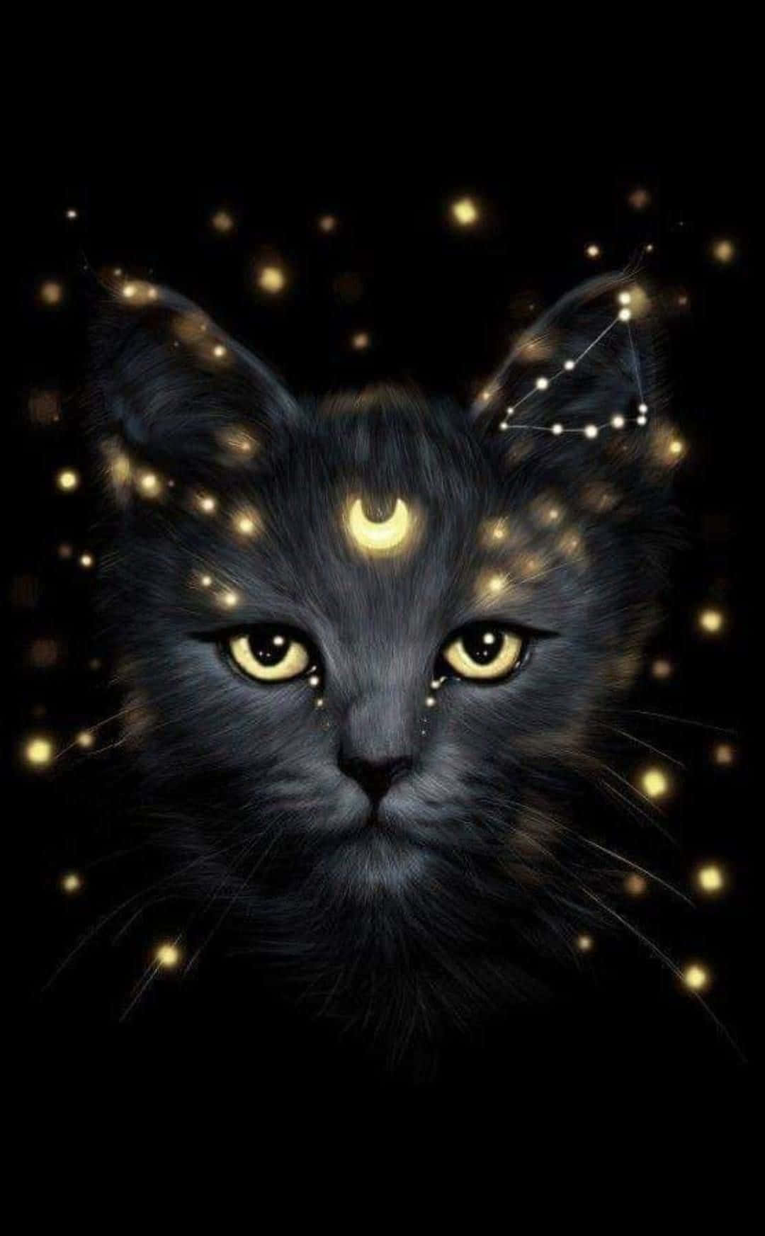 Maglakbay sa Uniberso kasama si Galaxy Cat Wallpaper
