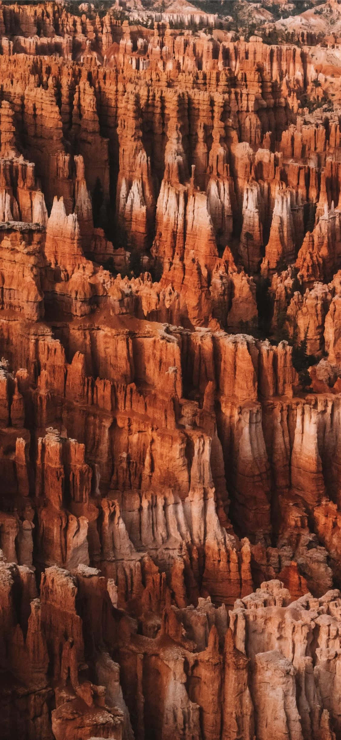 Magnificent Red Spires sa Bryce Canyon National Park Wallpaper