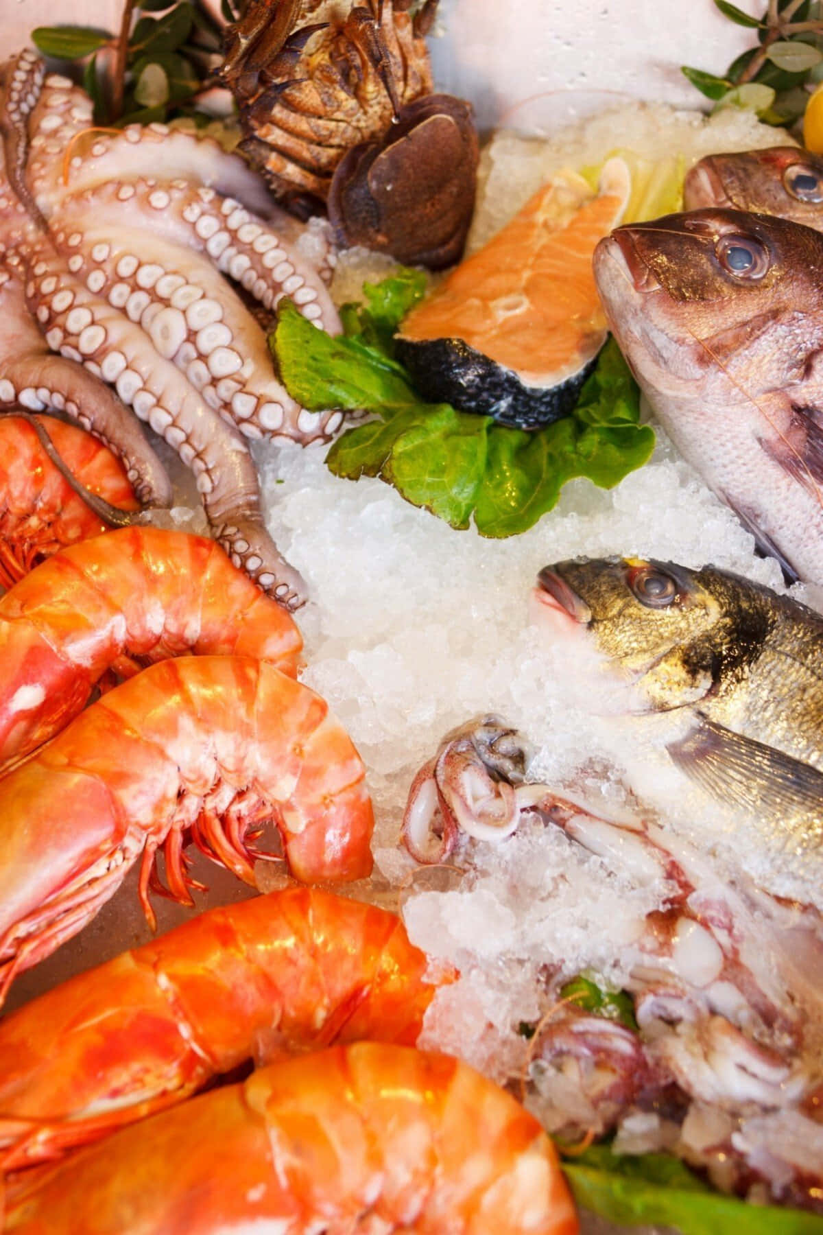 Magsaya ng Isang Preskong Seafood Dish Wallpaper