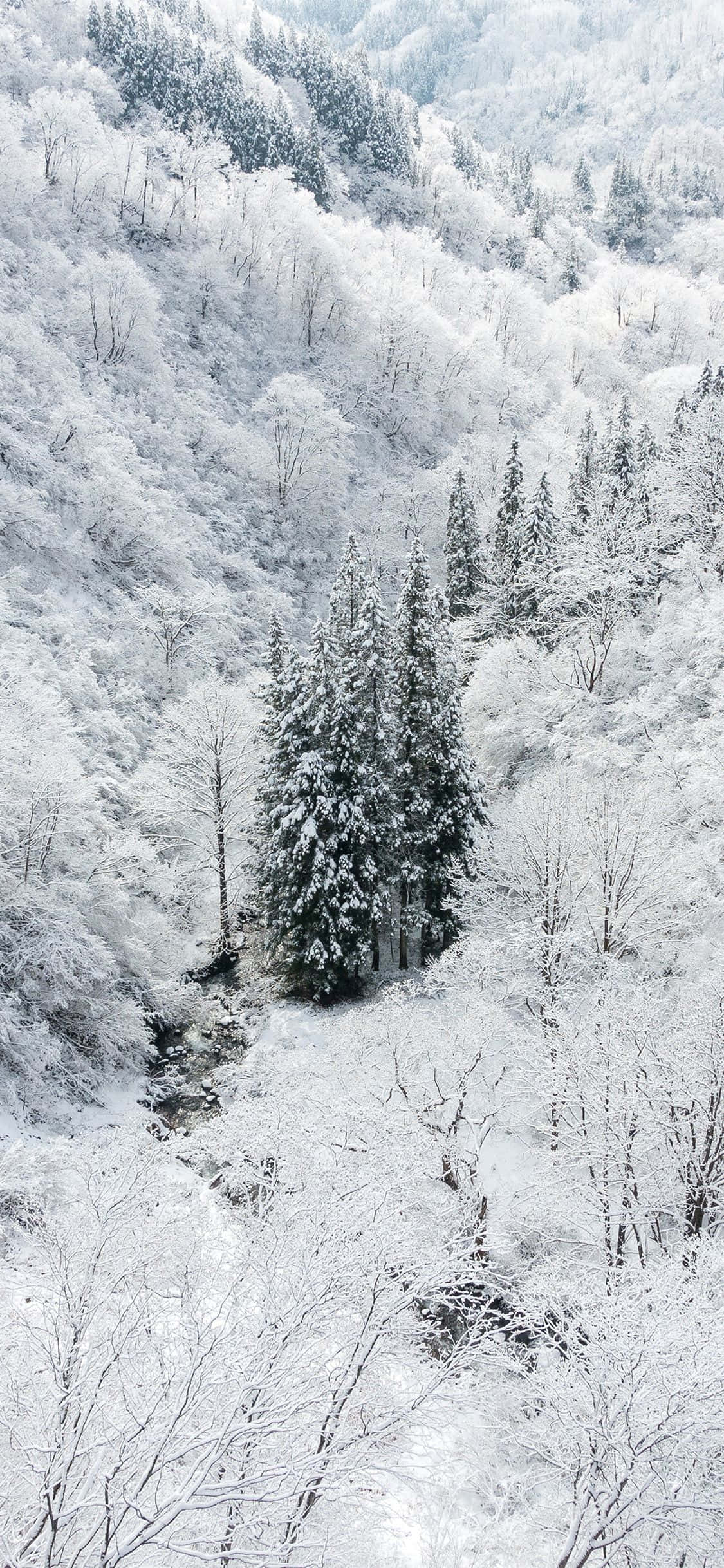 Magsaya ng Taglamig kasama ng Snow iPhone Wallpaper