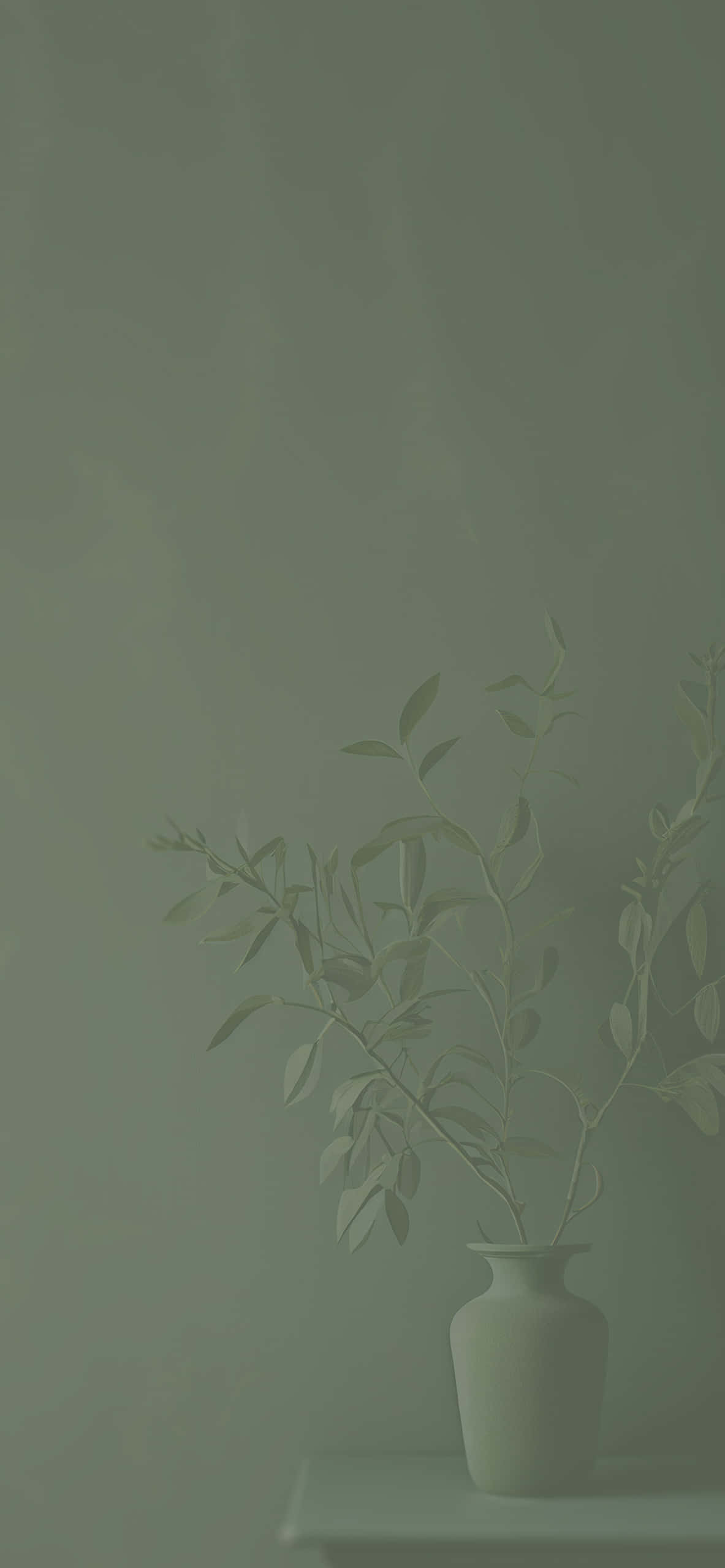 Mahinang Kalmad ng Sage Green Background Wallpaper