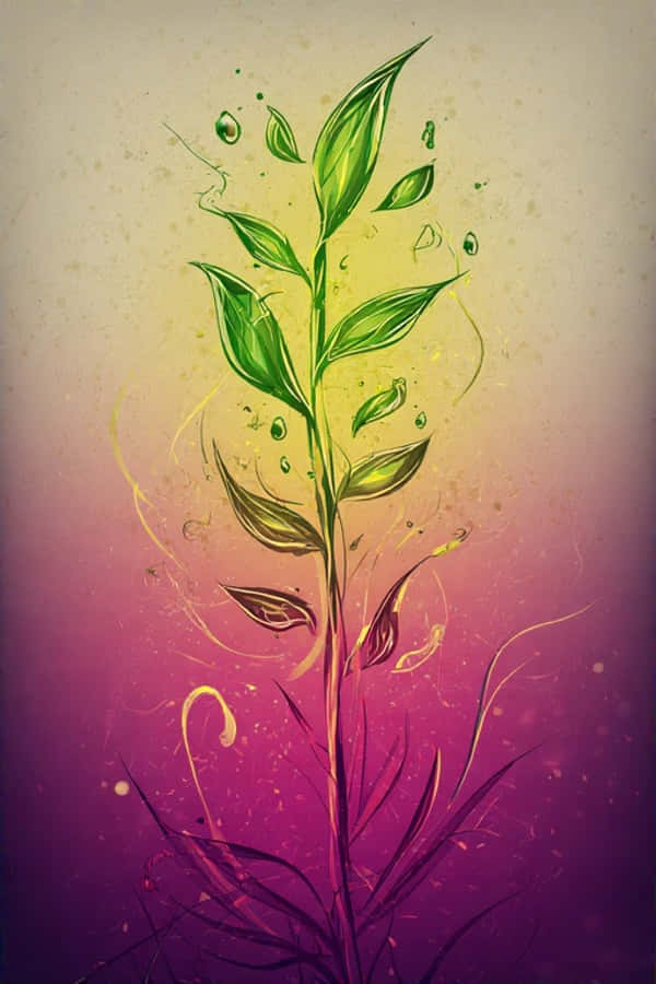 Mahiwagang Dapit-hapon na may Basang Tangkay sa Disyerto Wallpaper