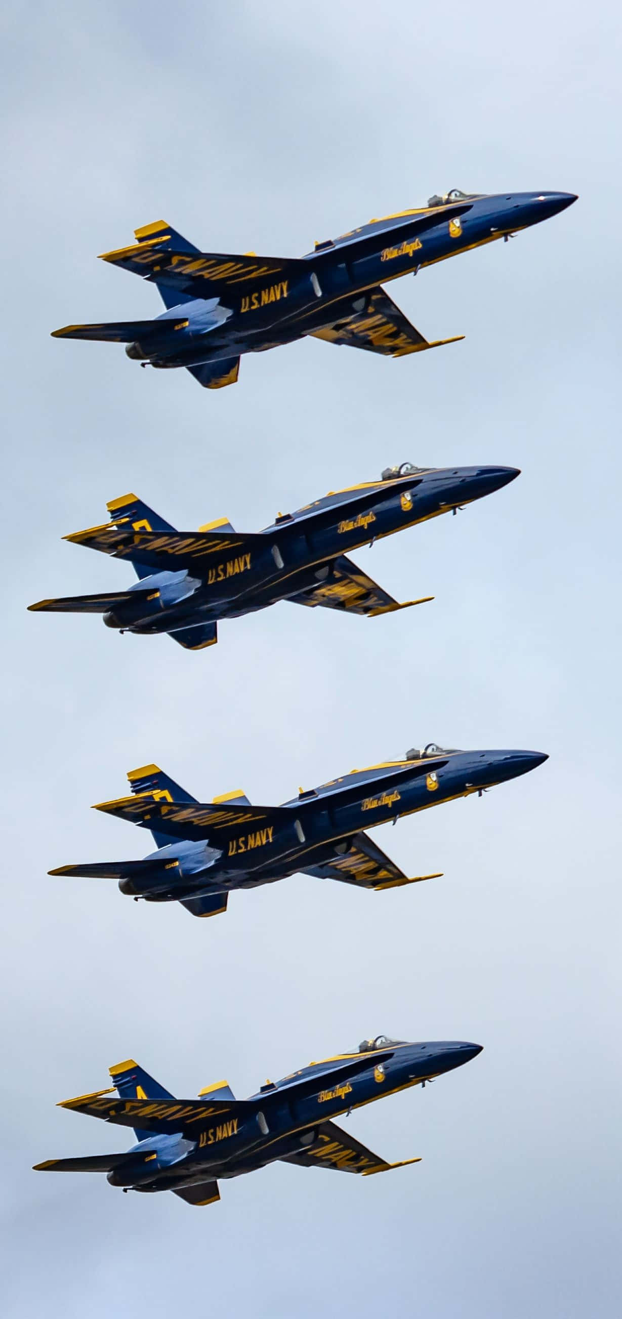 Majestic Blue Angels sa Flight Wallpaper
