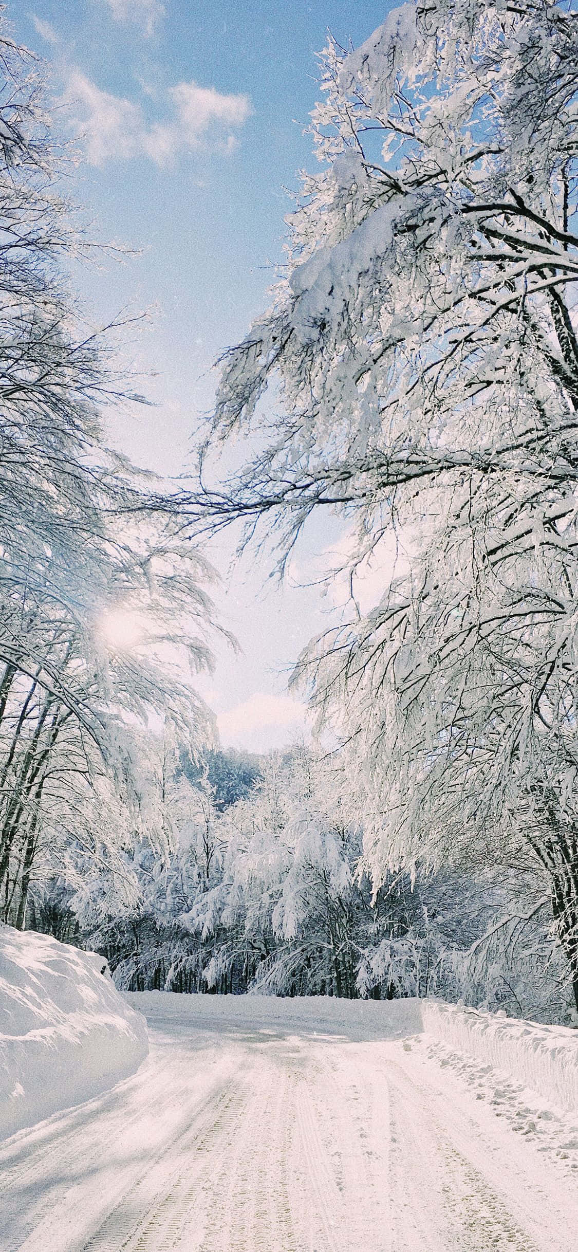 Majestic Winter Wonderland Wallpaper