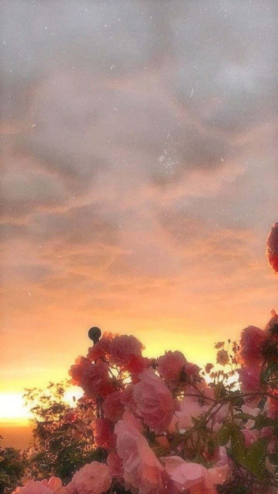 Makamit ng Aesthetic na Hitsura Gamit ang iPhone Wallpaper