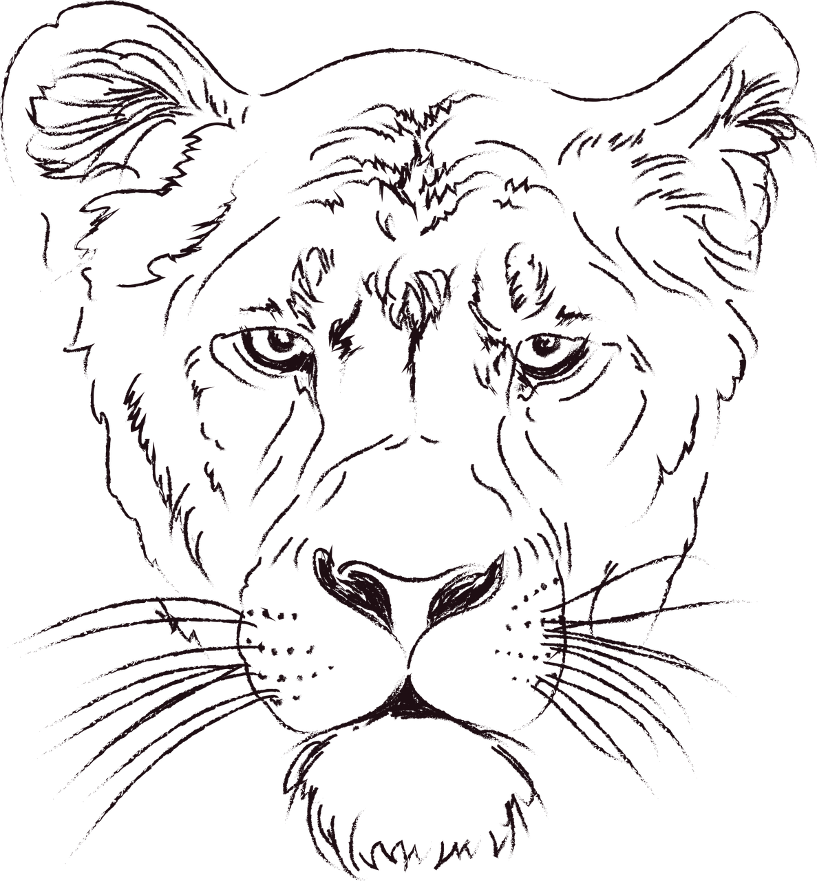 Makatotohanang Sketch ng Leon Wallpaper