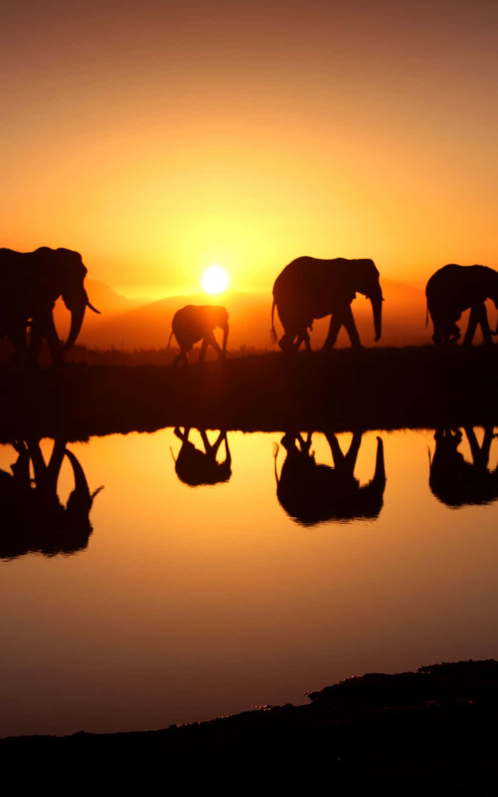 Makonekta gamit ang African Phone! Wallpaper