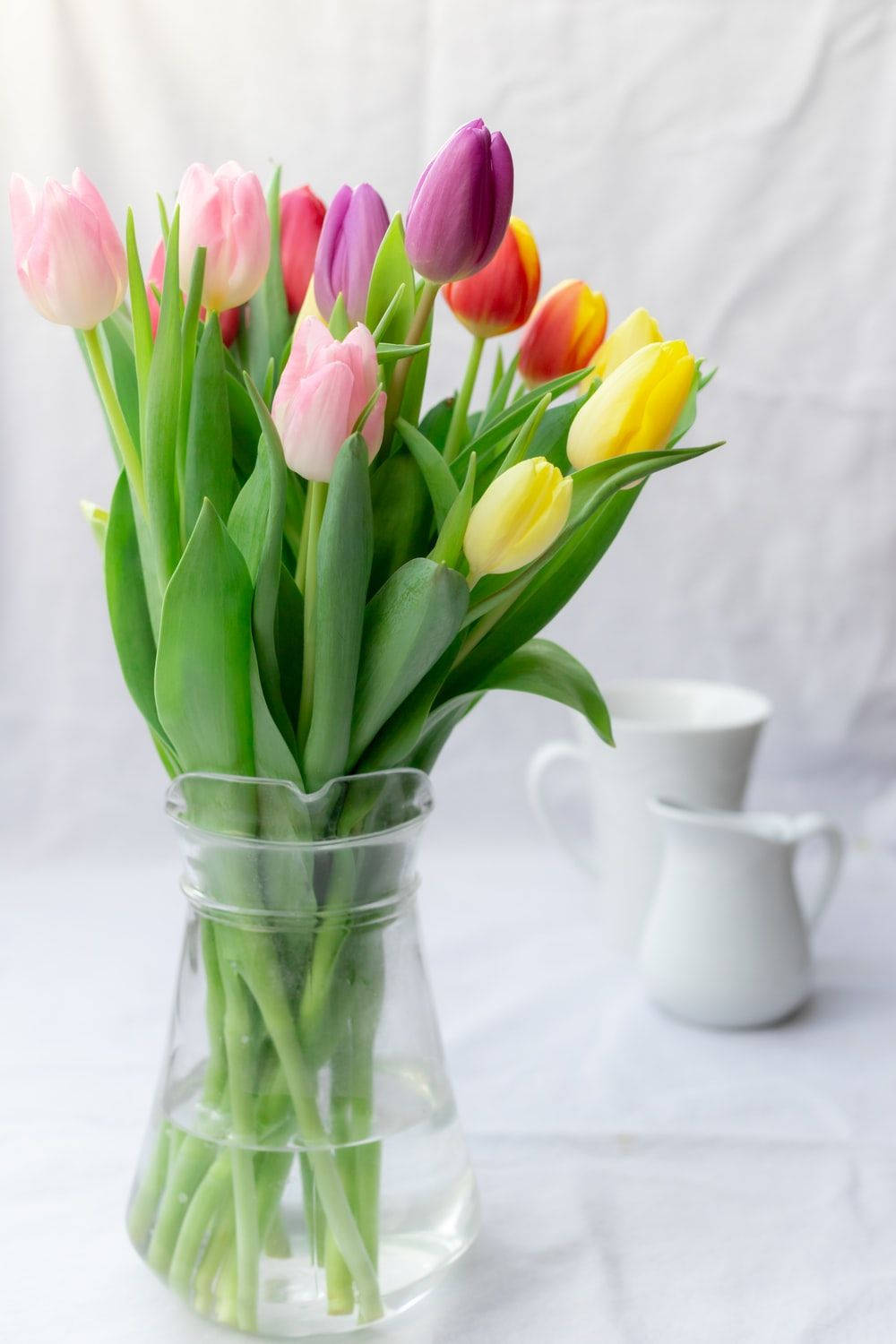 Makukulay na Tulips sa Isang Flower Vase Wallpaper