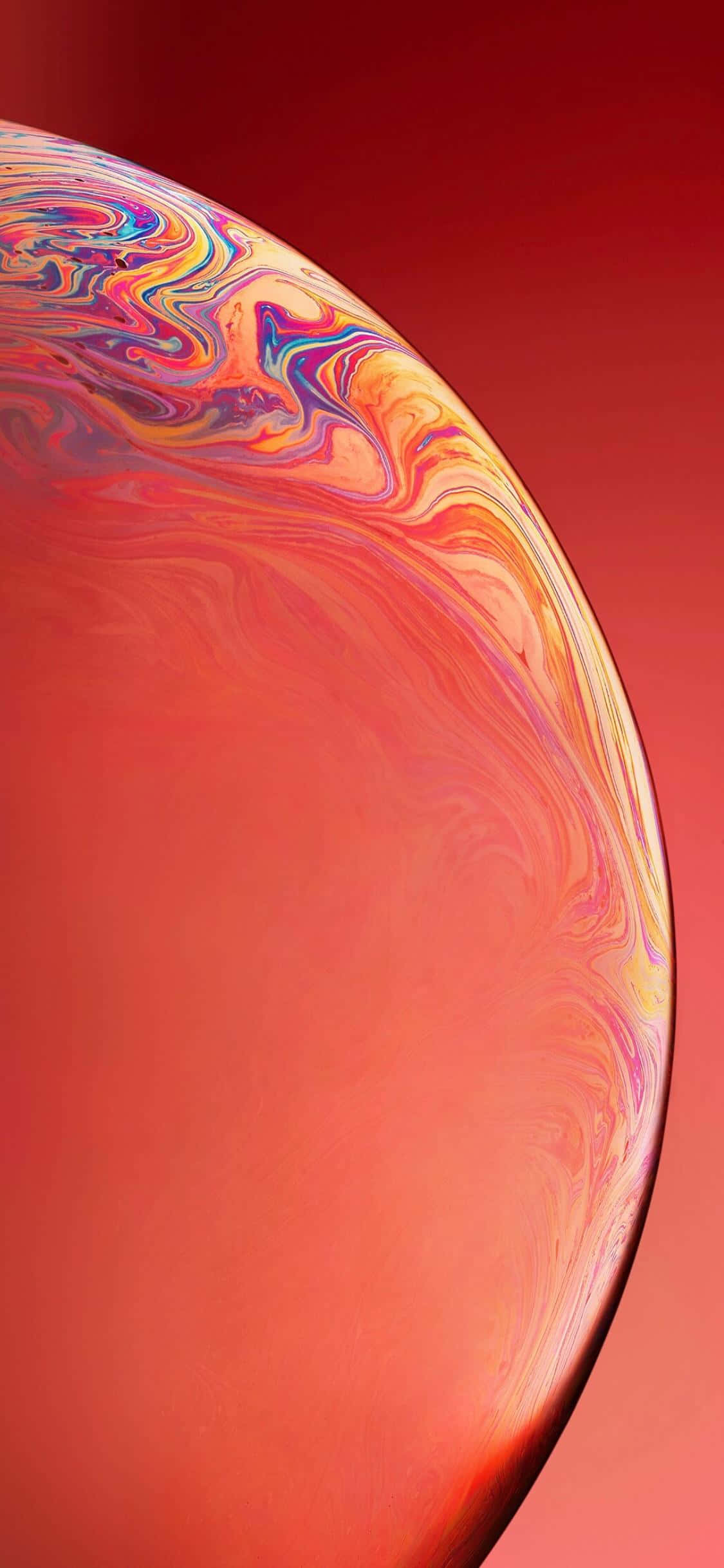 Makulay at masiglang coral sa ilalim ng tubig Wallpaper