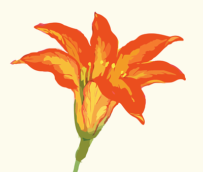 Makulay na Ilustrasyon ng Kahel na Bulaklak Wallpaper
