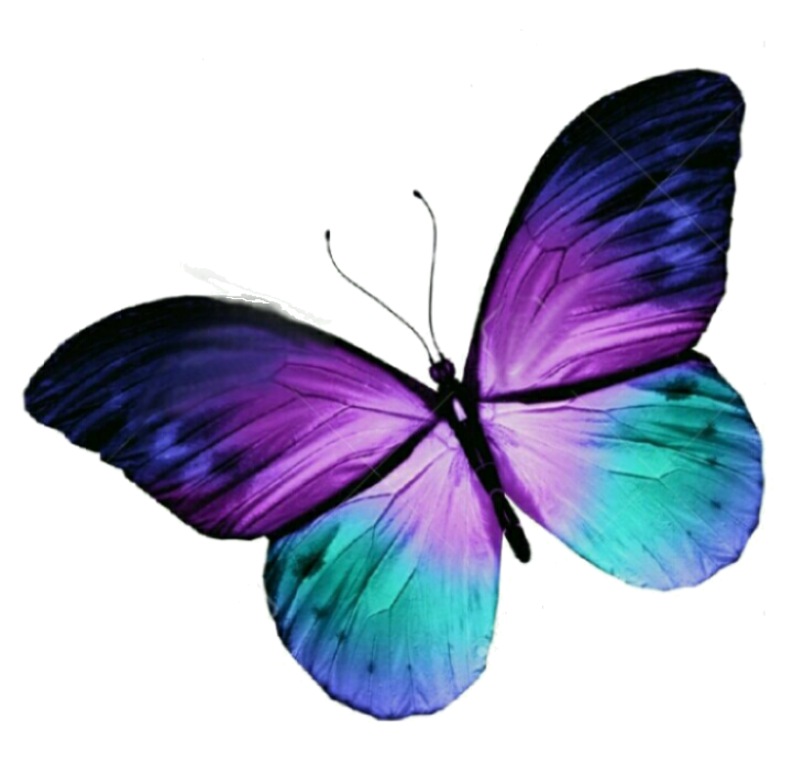 Makulay na Lila na Paruparo Wallpaper