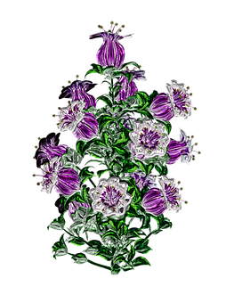 Makulay na Lilang Bulaklak na Sining Wallpaper