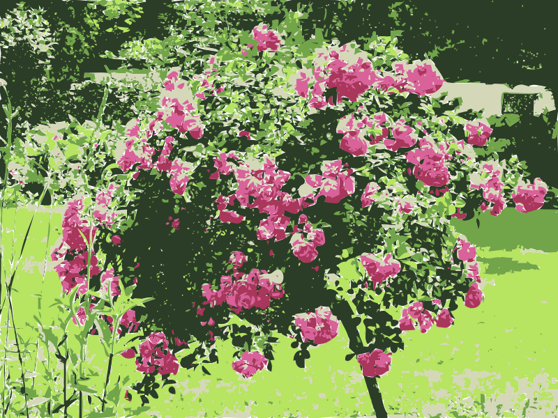 Makulay na Sining ng Rosas na Bush Wallpaper